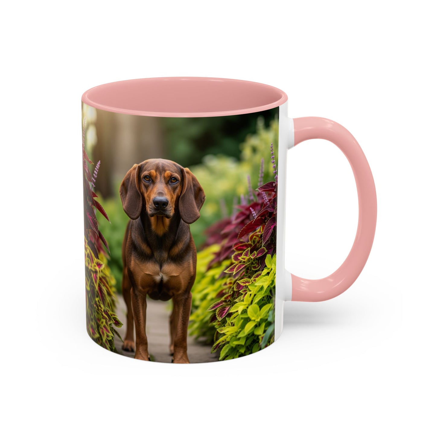 Hamiltonstovare Accent Coffee Mug - Perfect Gift for Dog Lovers