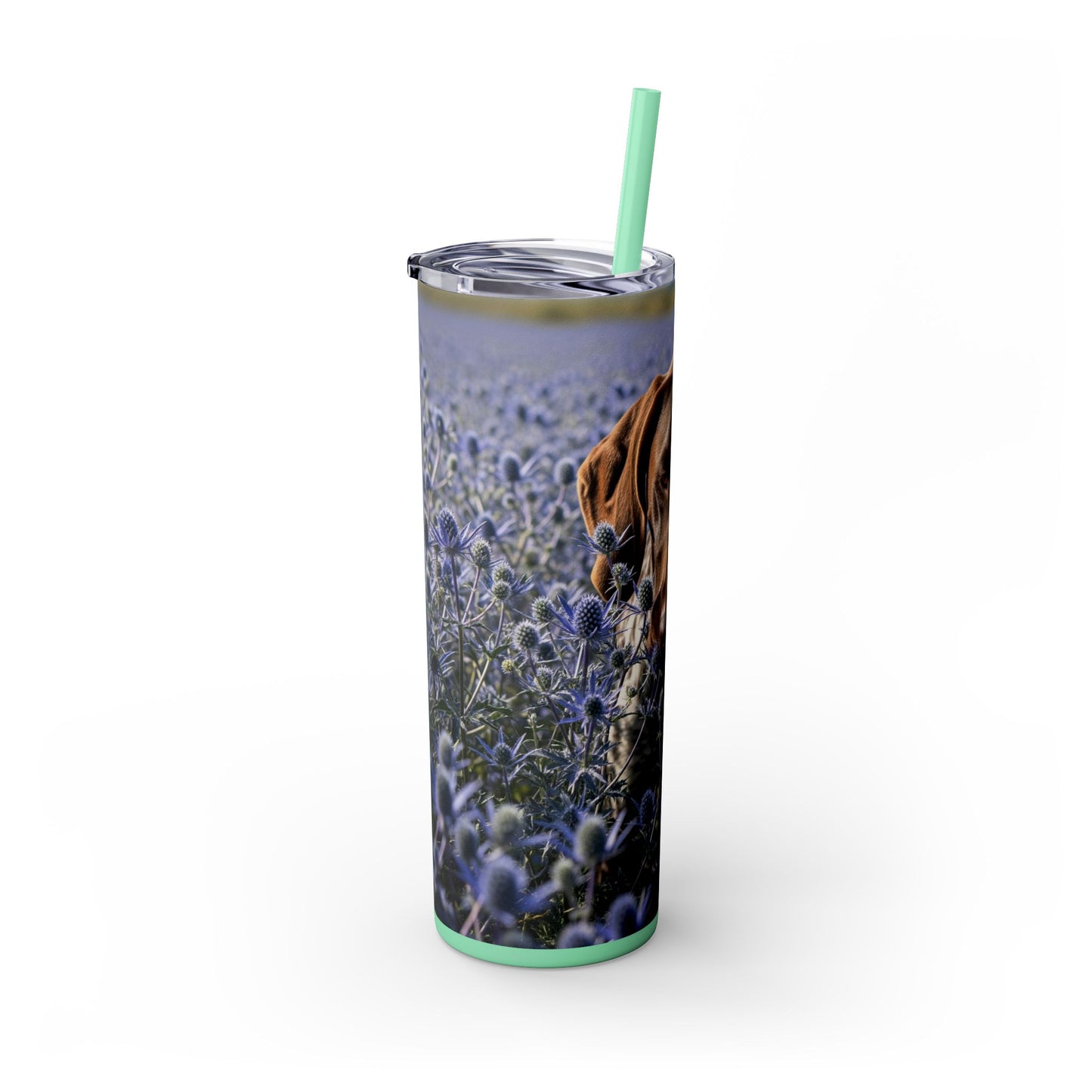 German Shorthaired Pointer Tumbler with Straw, 20oz