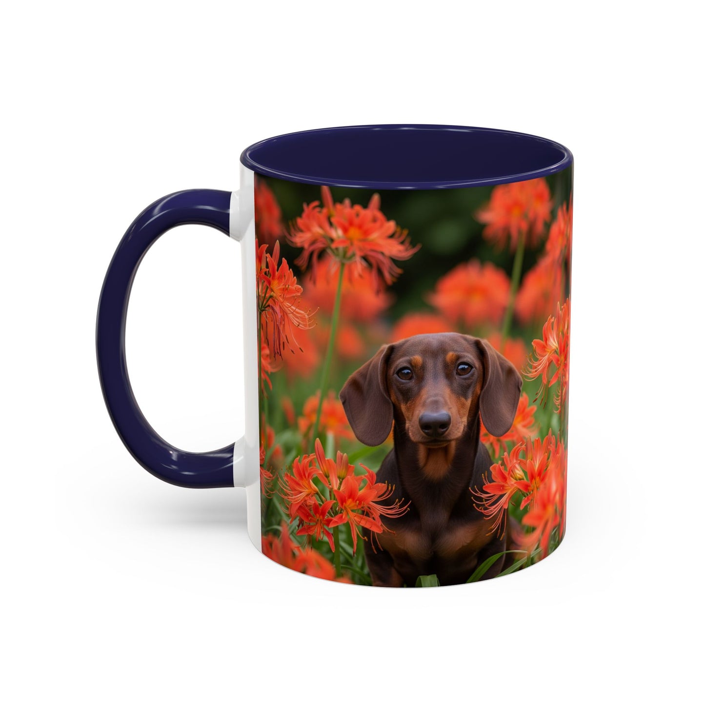 Dachshund Accent Coffee Mug - Perfect Gift for Dog Lovers