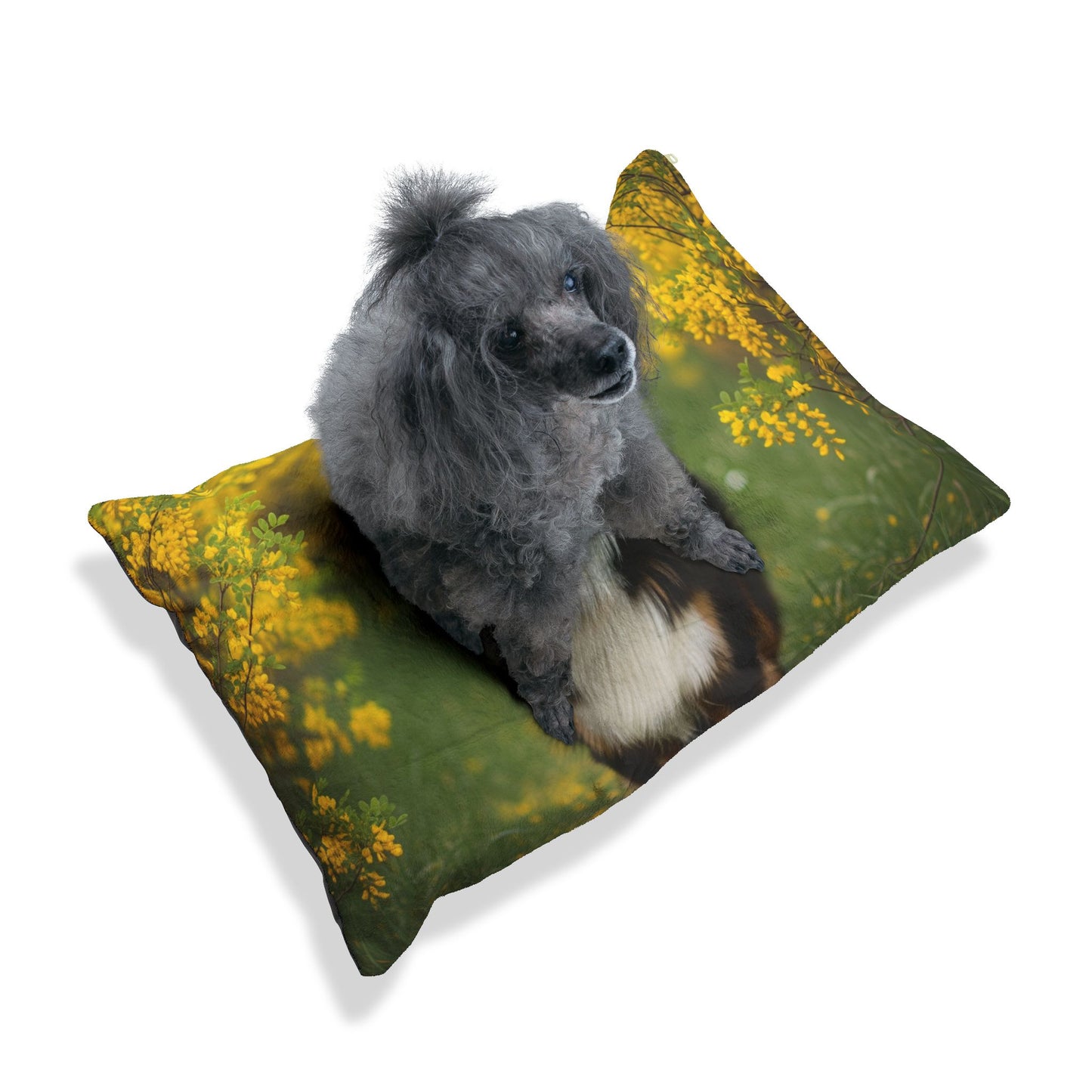 Australian Shepherd Pet Bed