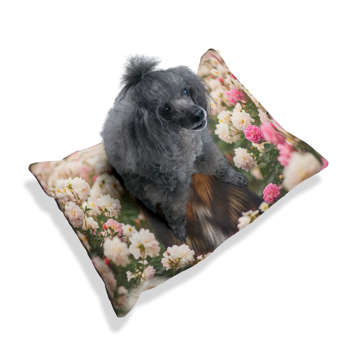 Bohemian Shepherd Pet Bed