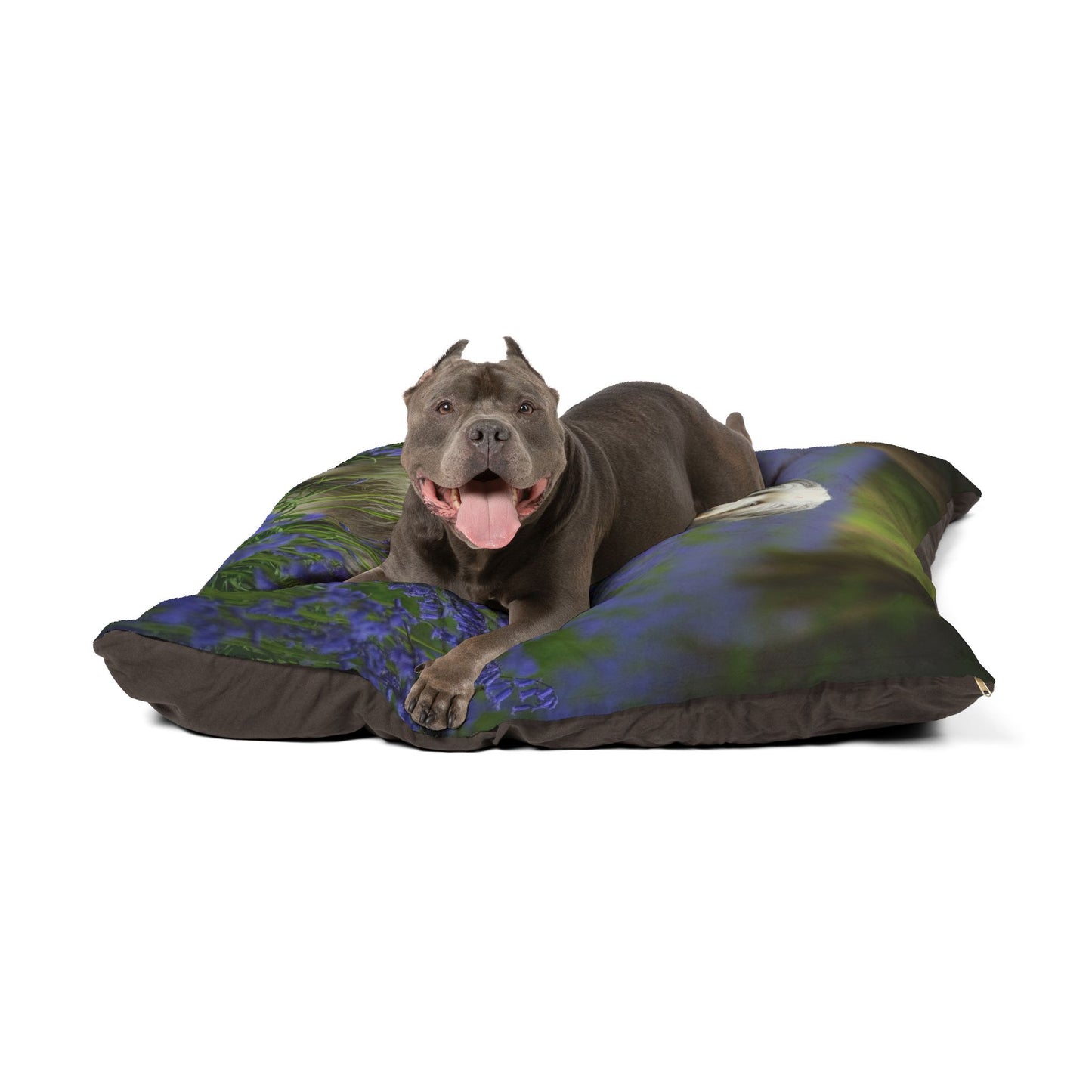 Bearded Collie Pet Bed