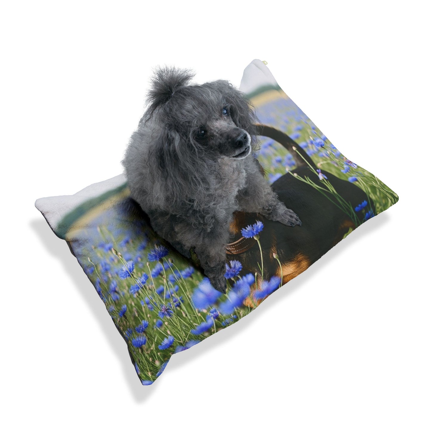 Deutscher Jagdterrier Pet Bed