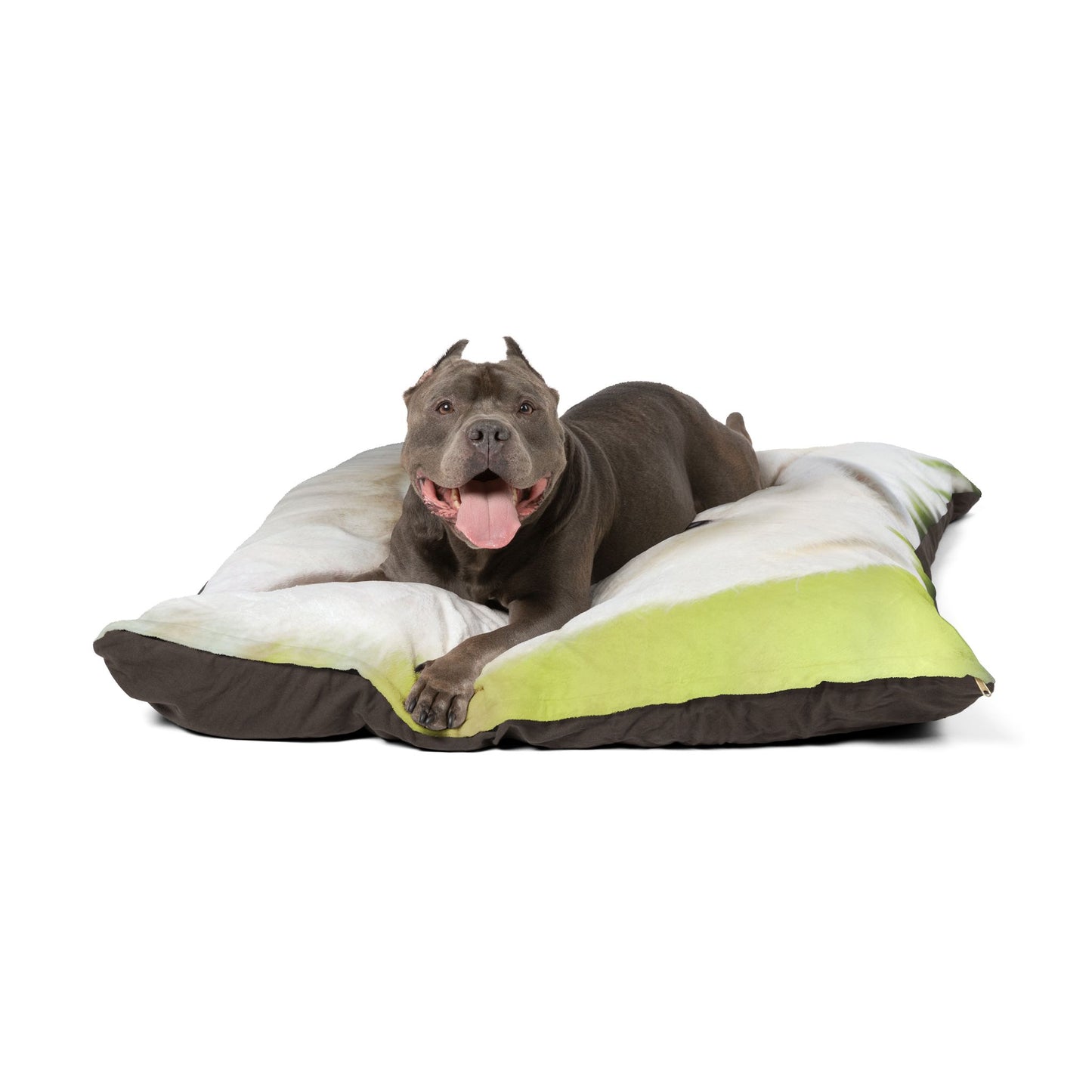 Samoyed Pet Bed