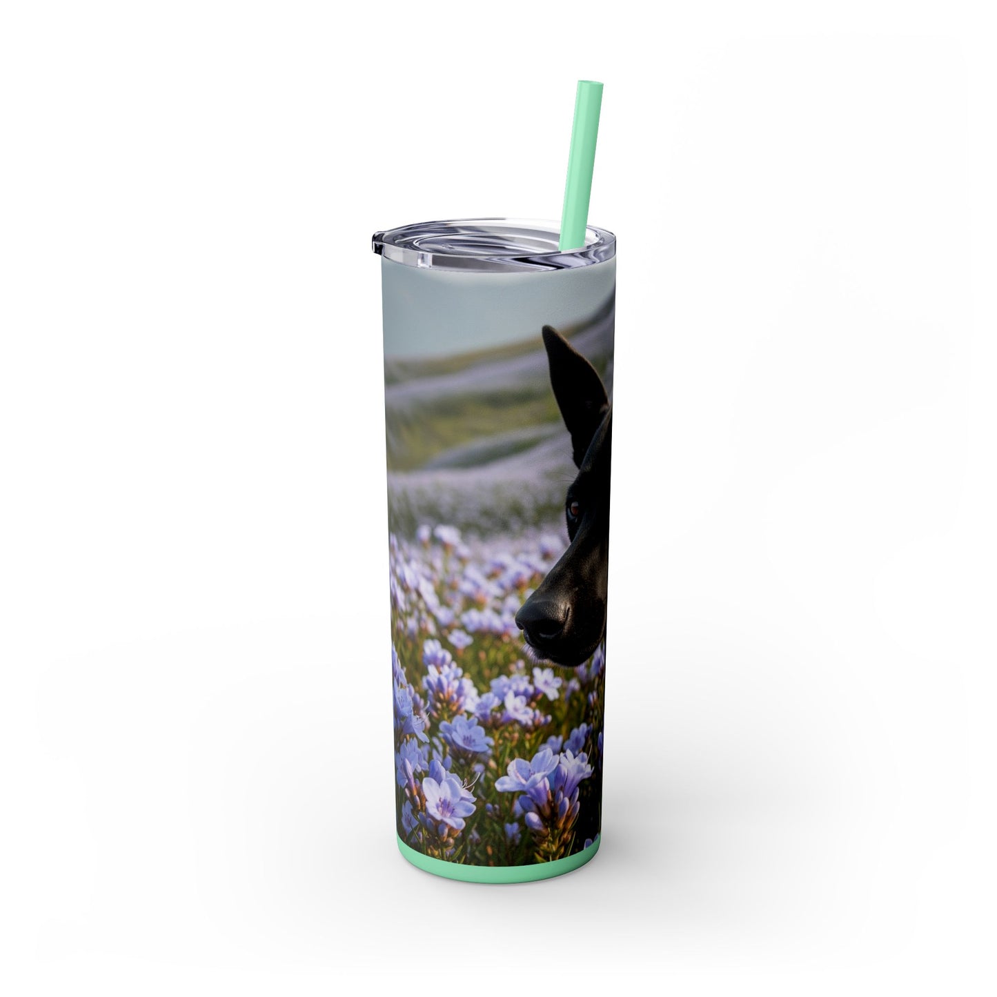 Kanni Tumbler with Straw, 20oz