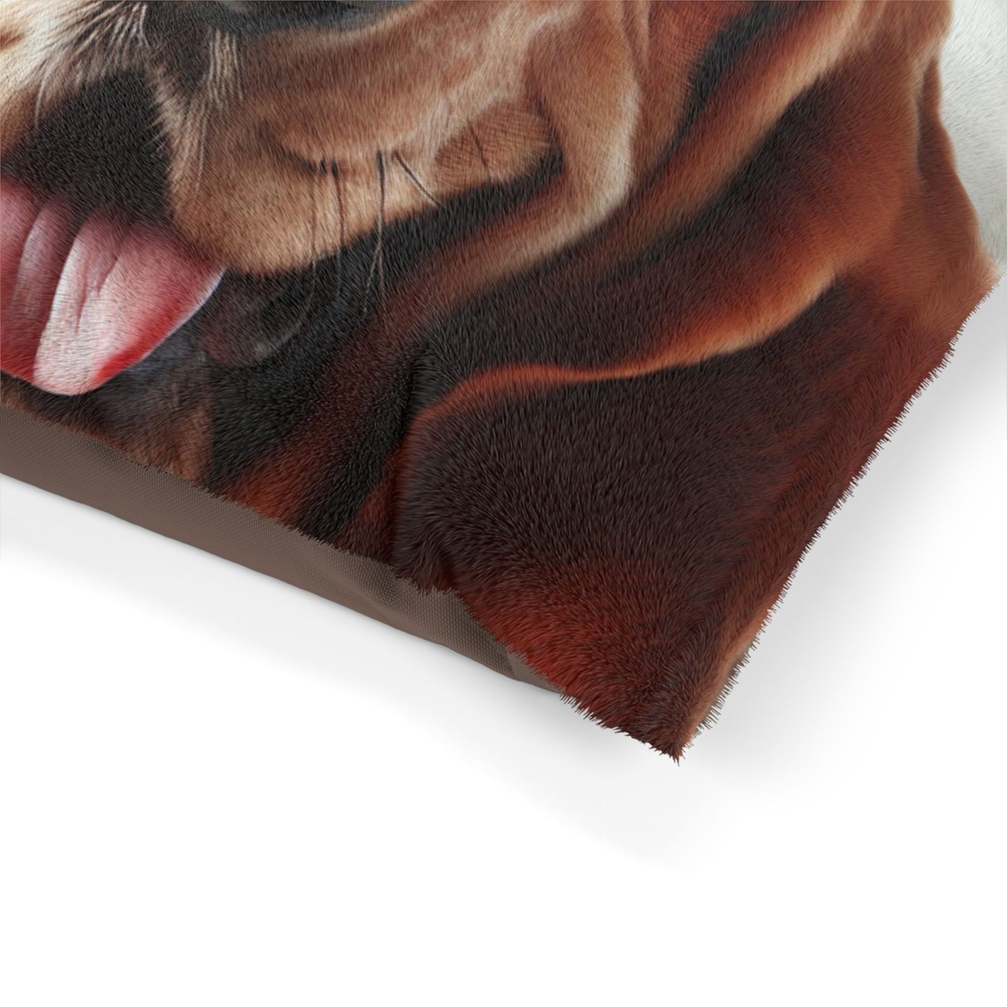 Basset Fauve de Bretagne Pet Bed