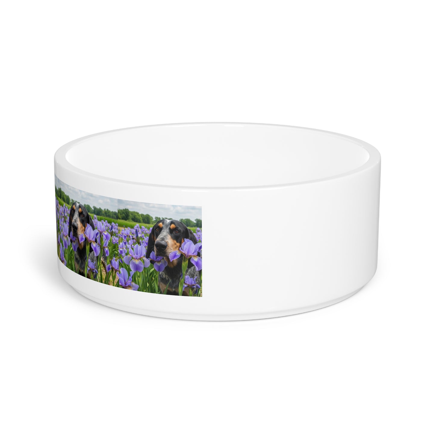 Bluetick Coonhound Pet Bowl