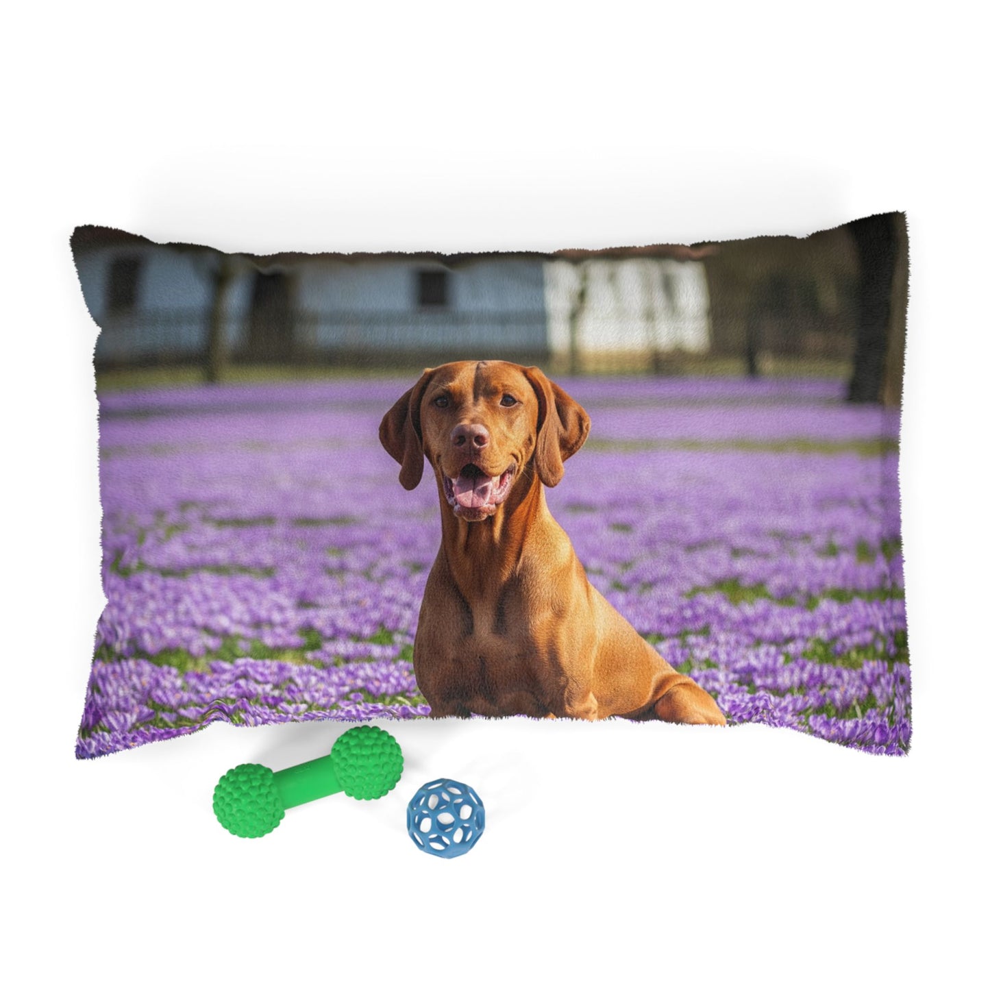 Vizsla Pet Bed