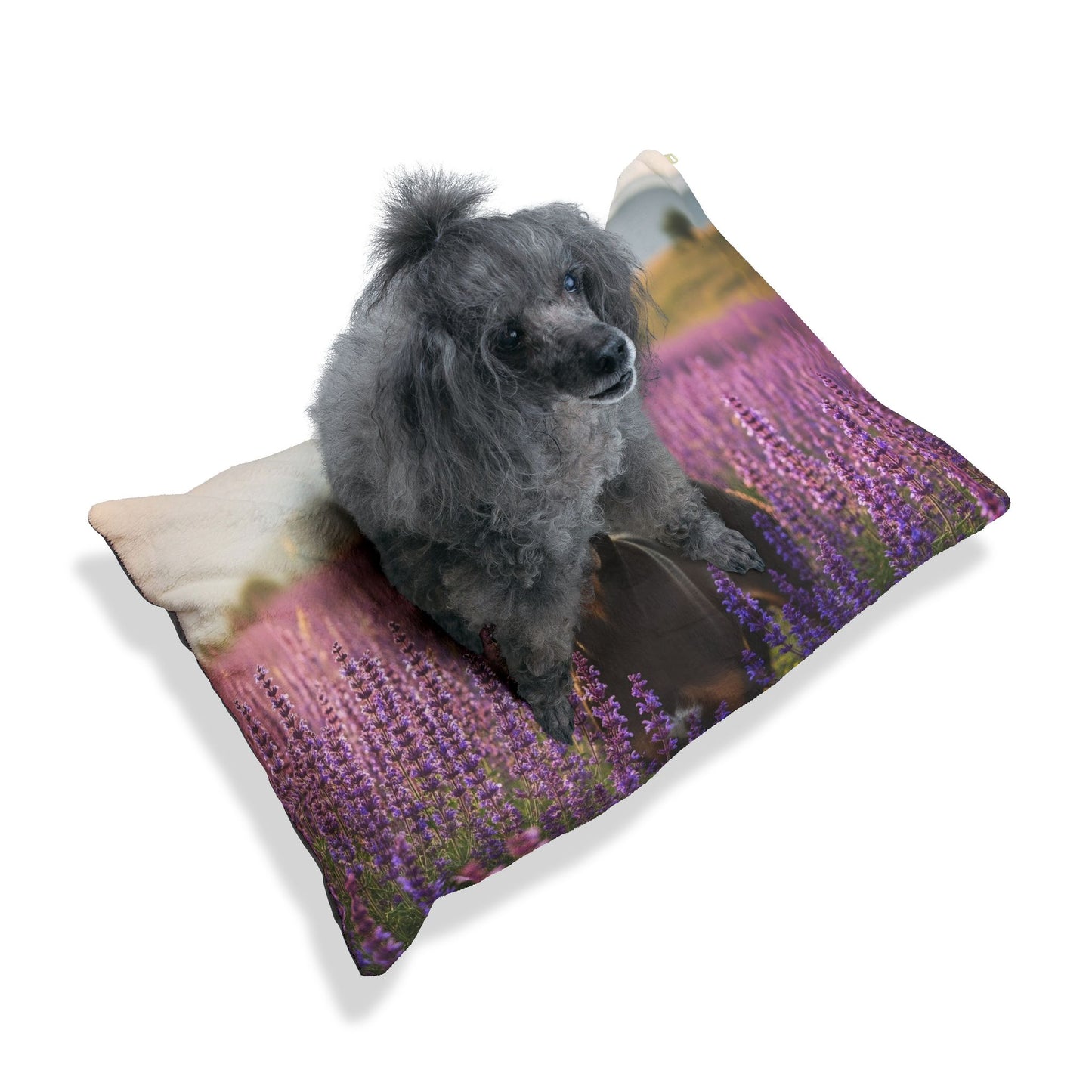 Transylvanian Hound Pet Bed