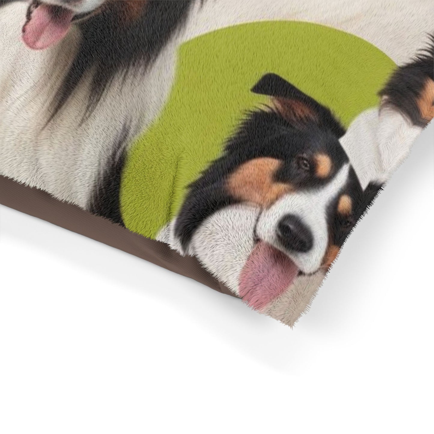 Collies Pet Bed