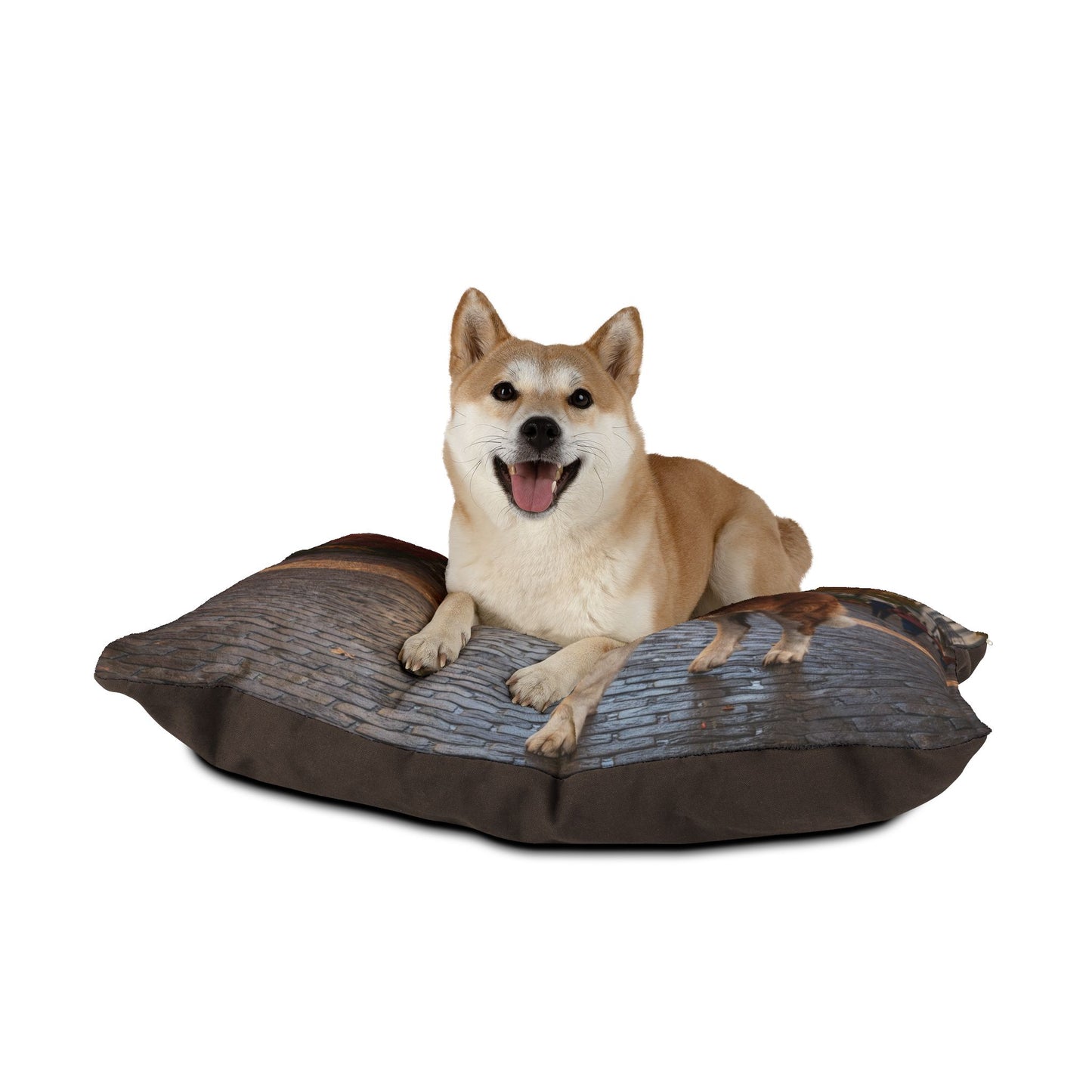Saint Bernard Pet Bed
