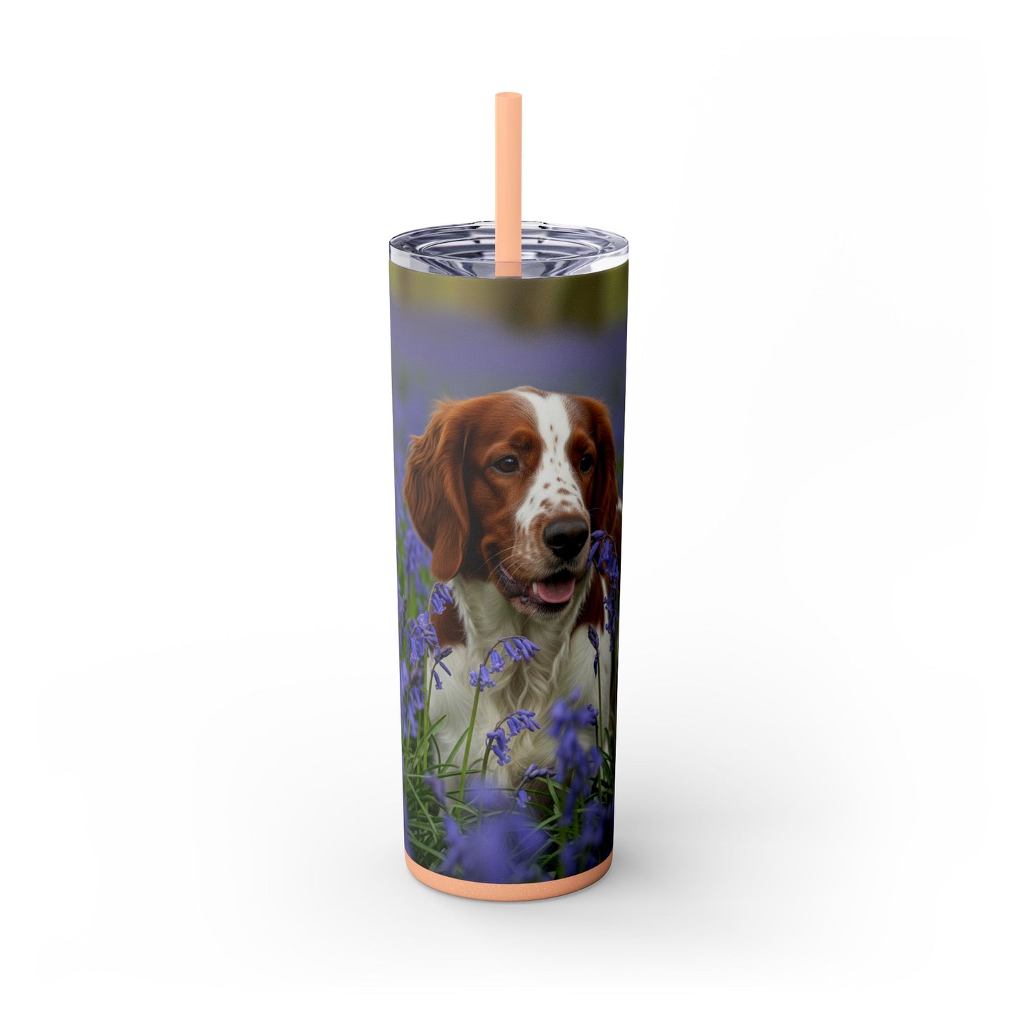 Welsh Springer Spaniel Skinny Tumbler with Straw, 20oz