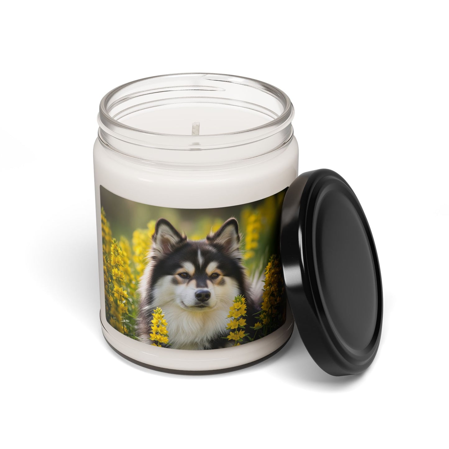 Bougie parfumée au soja « Lapphund suédois », 255 g