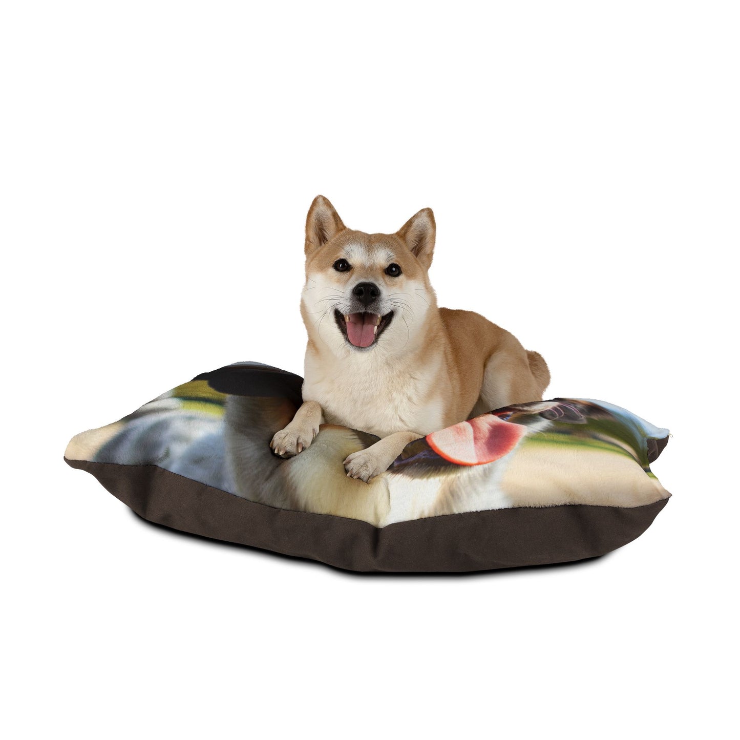 Braque Francais Pyrenean Pet Bed