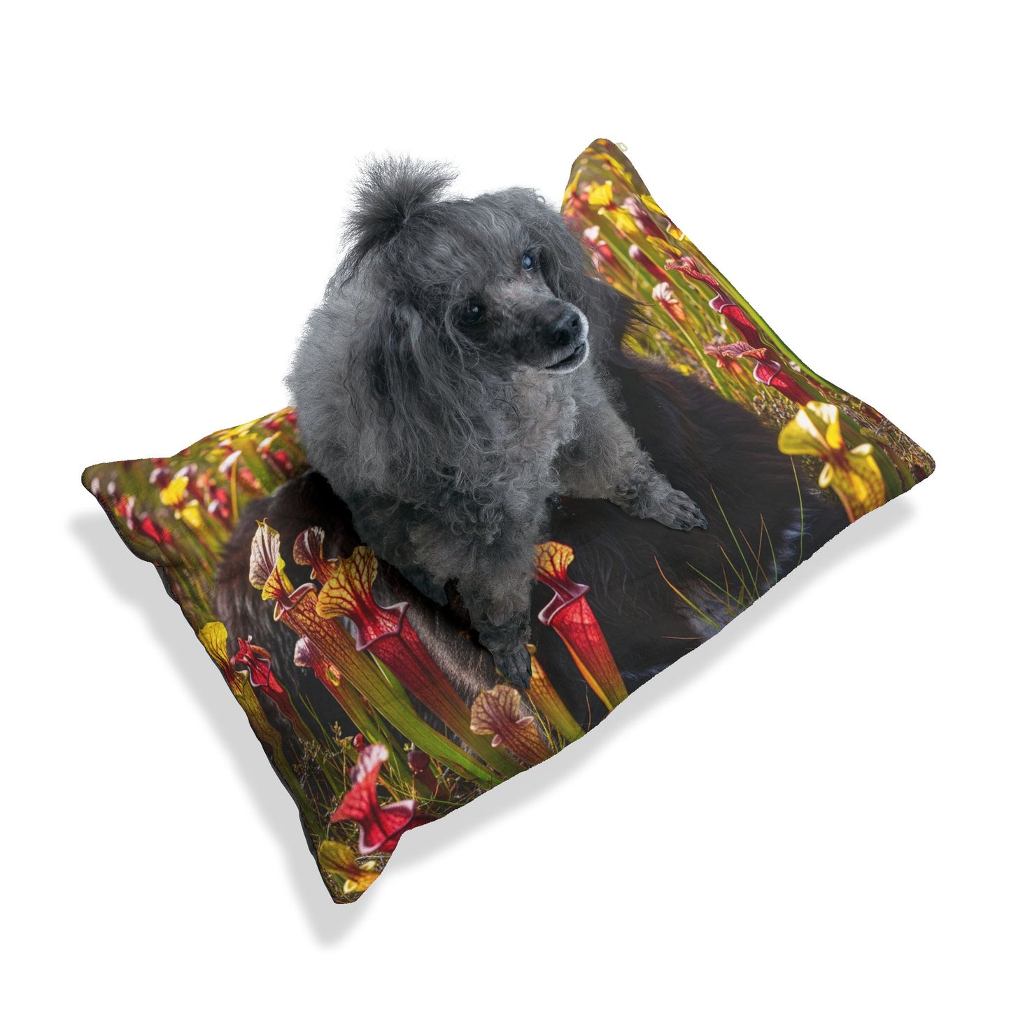 Newfoundland Pet Bed