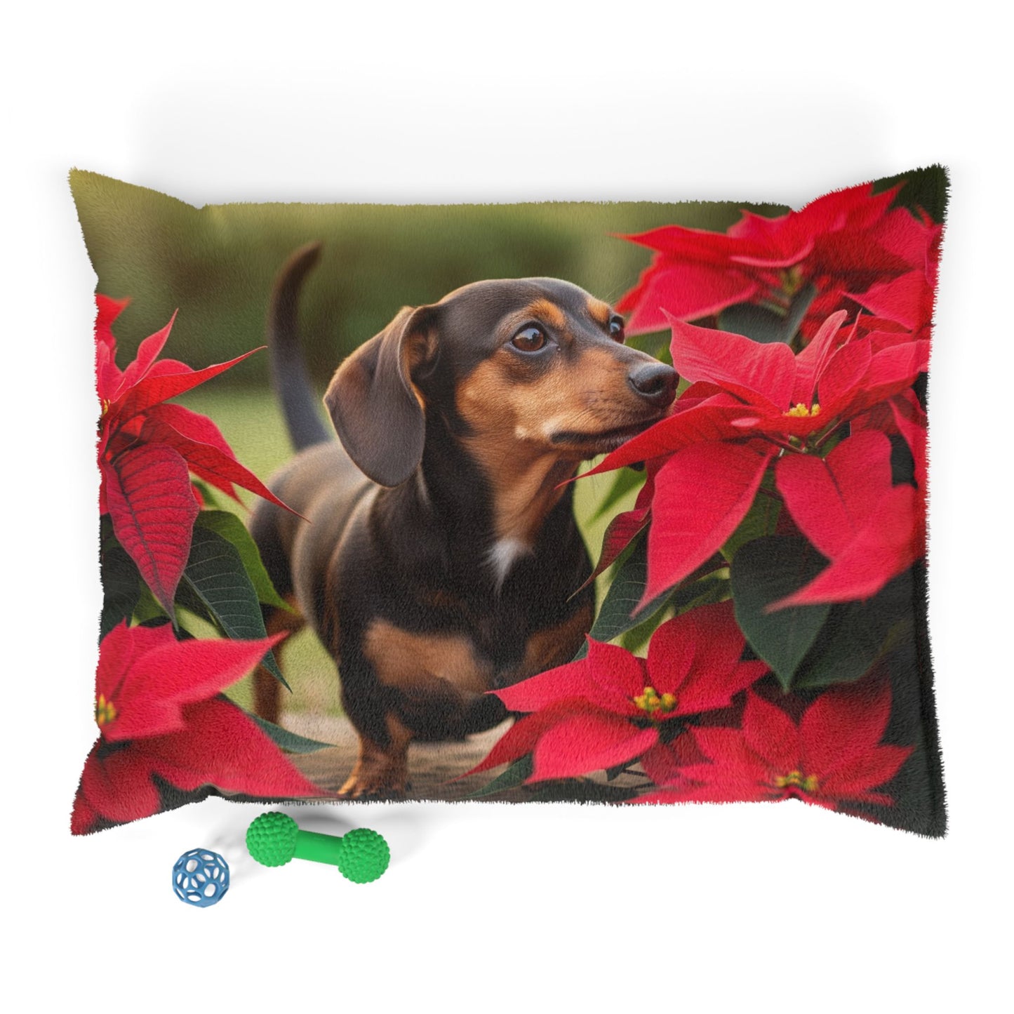 Chiweenie Pet Bed