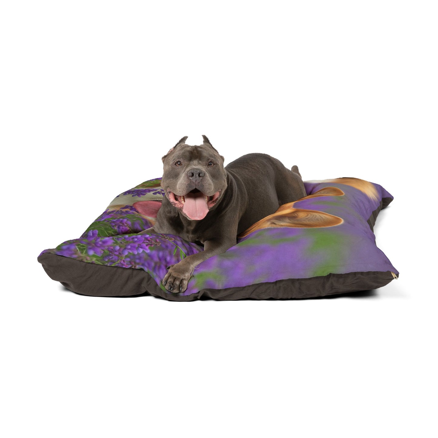 Cardigan Welsh Corgi Pet Bed