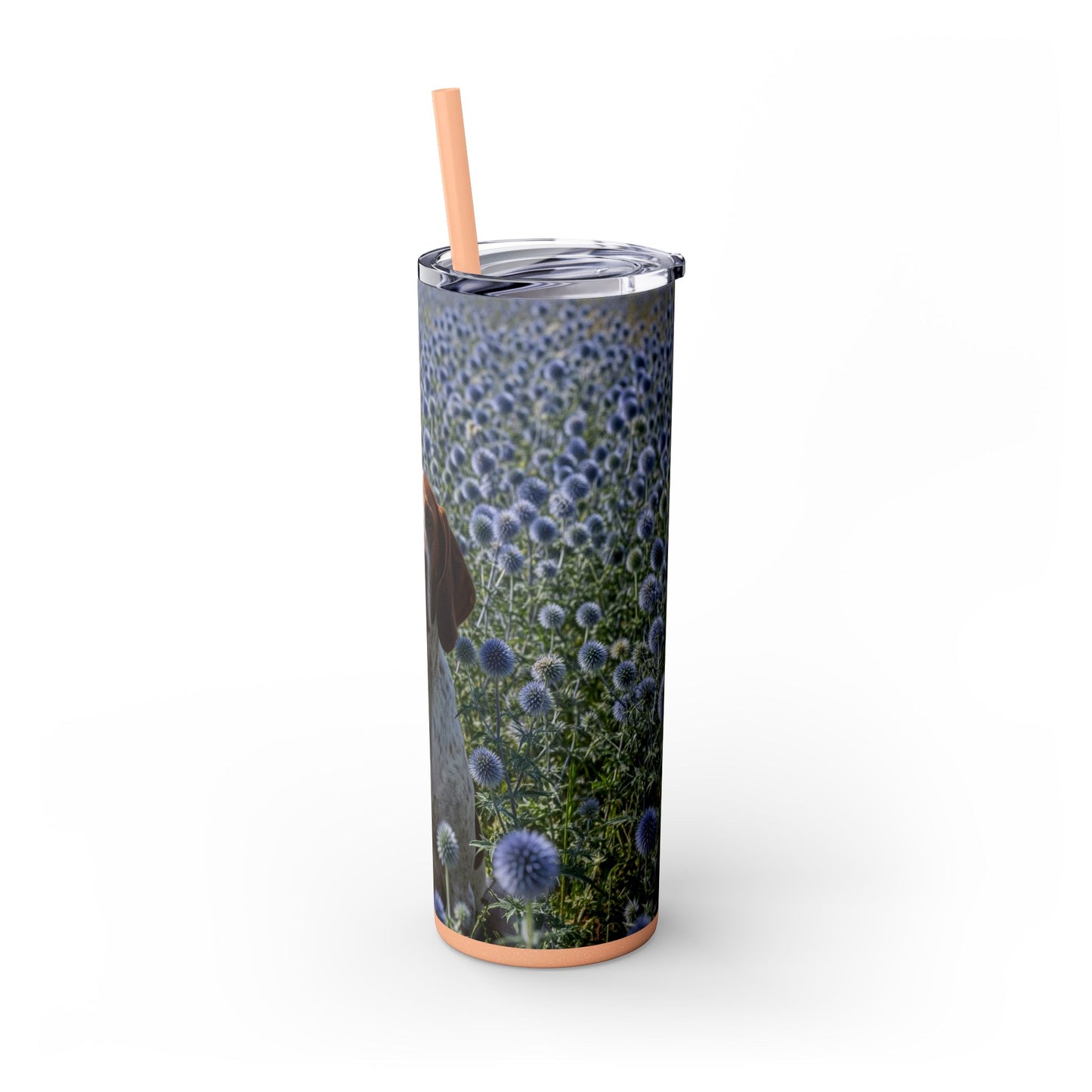 Braque Francais Pyrenean Tumbler with Straw, 20oz
