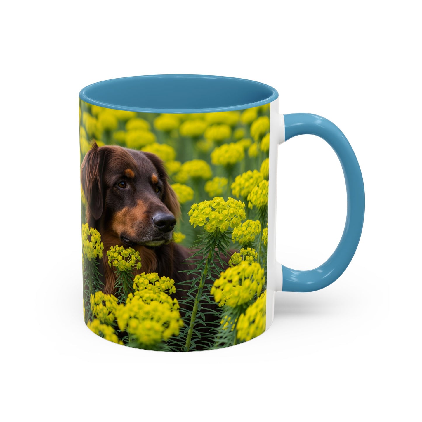 Hovawart Accent Coffee Mug - Perfect Gift for Dog Lovers