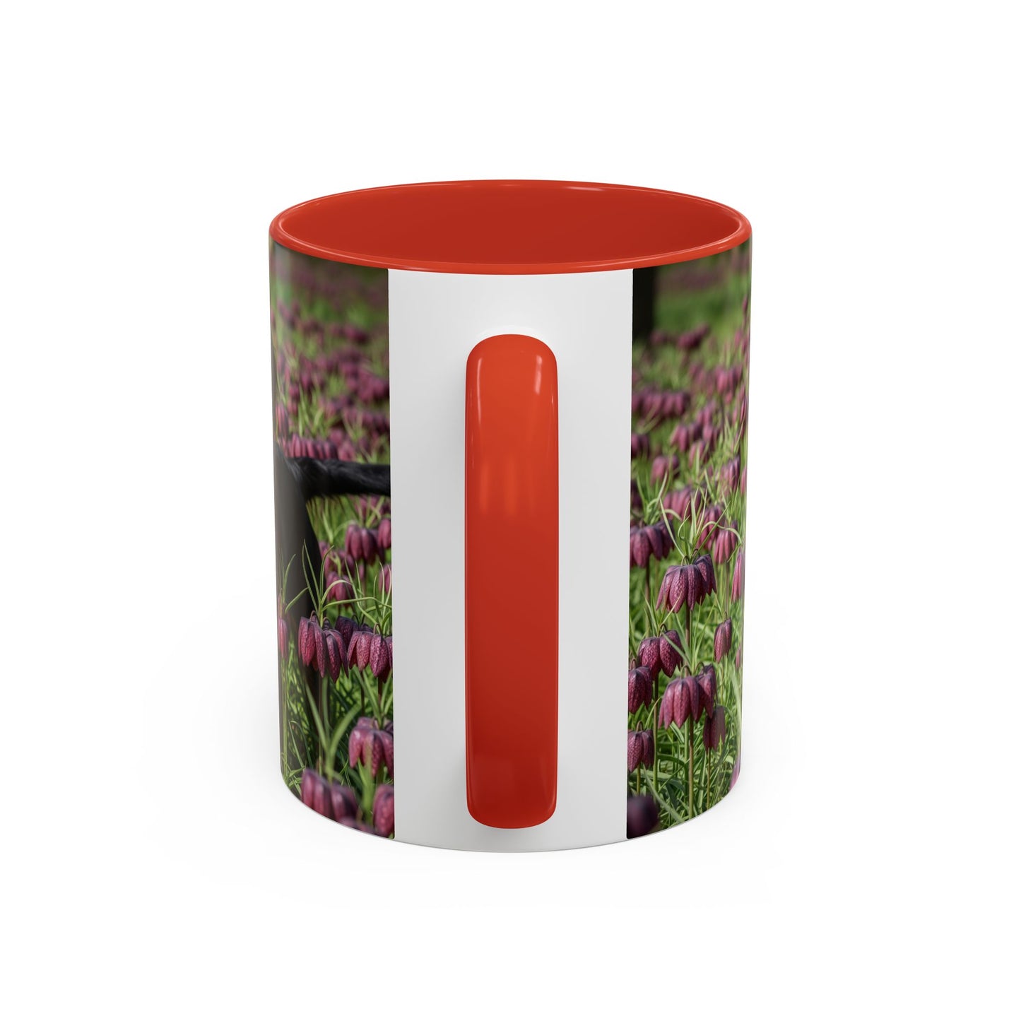 Wetterhoun Accent Coffee Mug - Perfect Gift for Dog Lovers