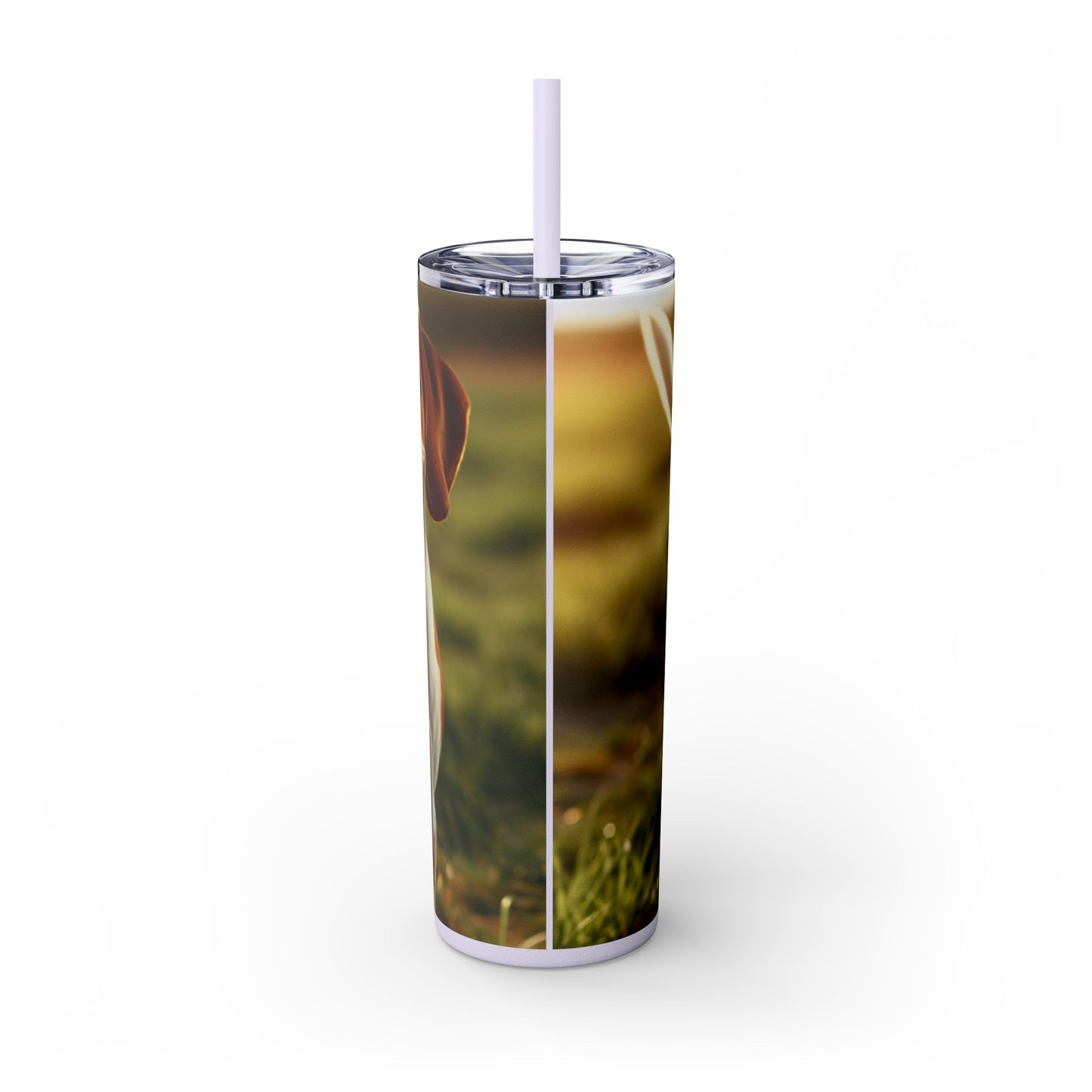 Bracco Italiano Tumbler with Straw, 20oz