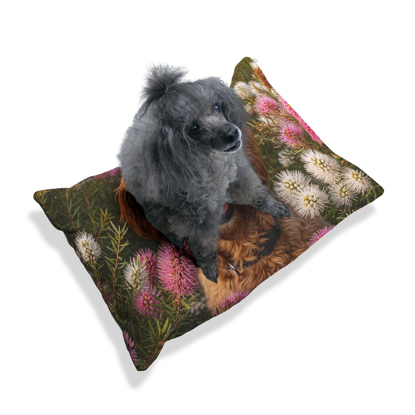Goldendoodle Pet Bed