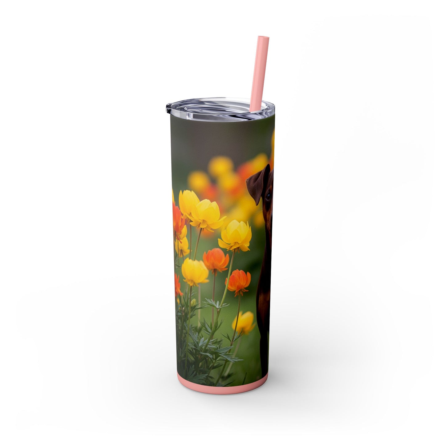Miniature Pinscher Skinny Tumbler with Straw, 20oz