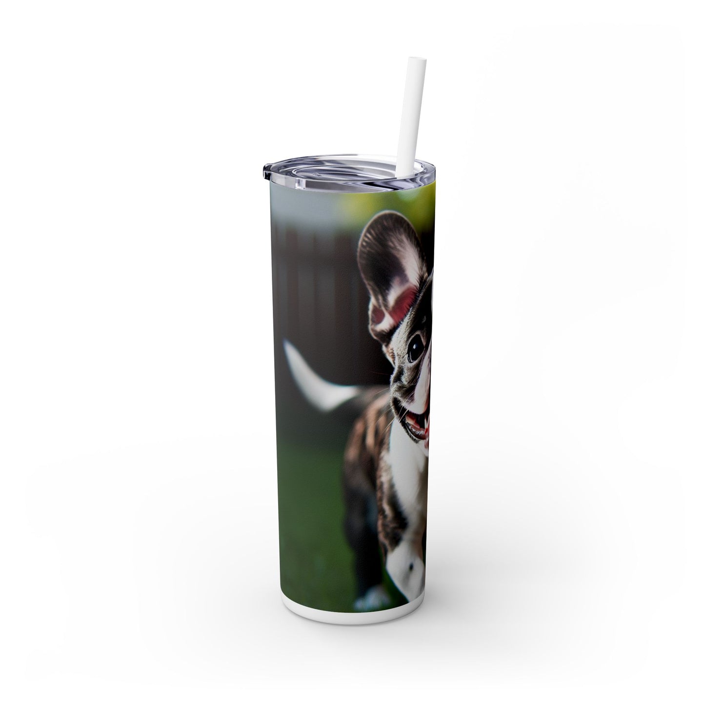 Frenchton Tumbler with Straw, 20oz