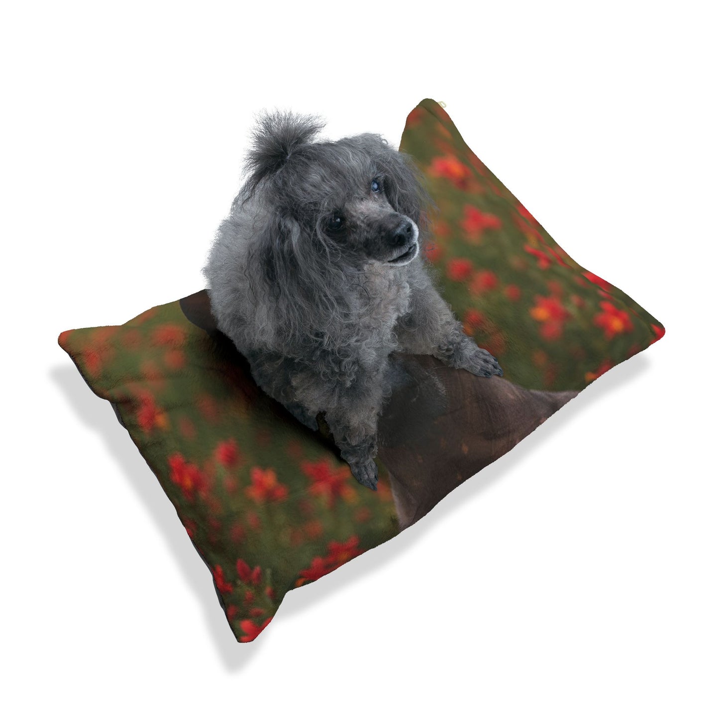 Peruvian Inca Orchid Pet Bed