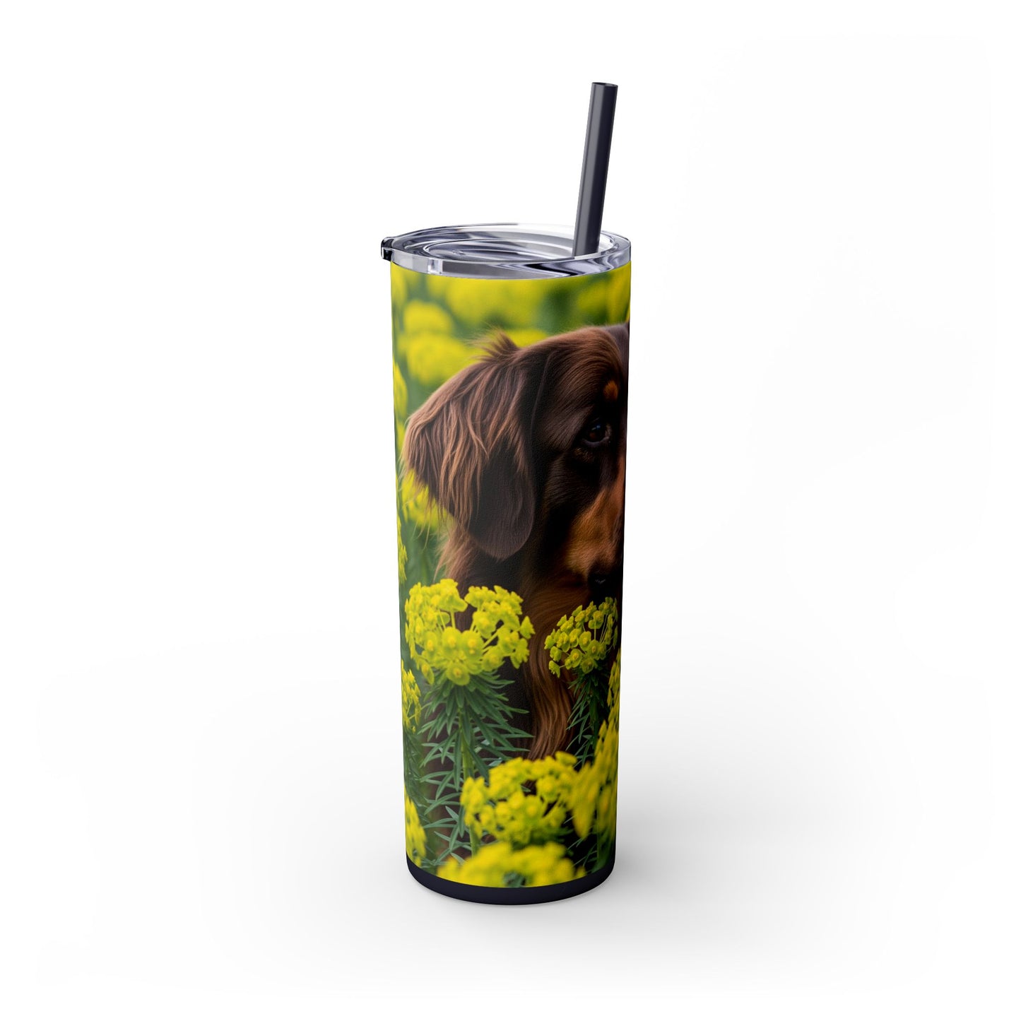 Hovawart Tumbler with Straw, 20oz