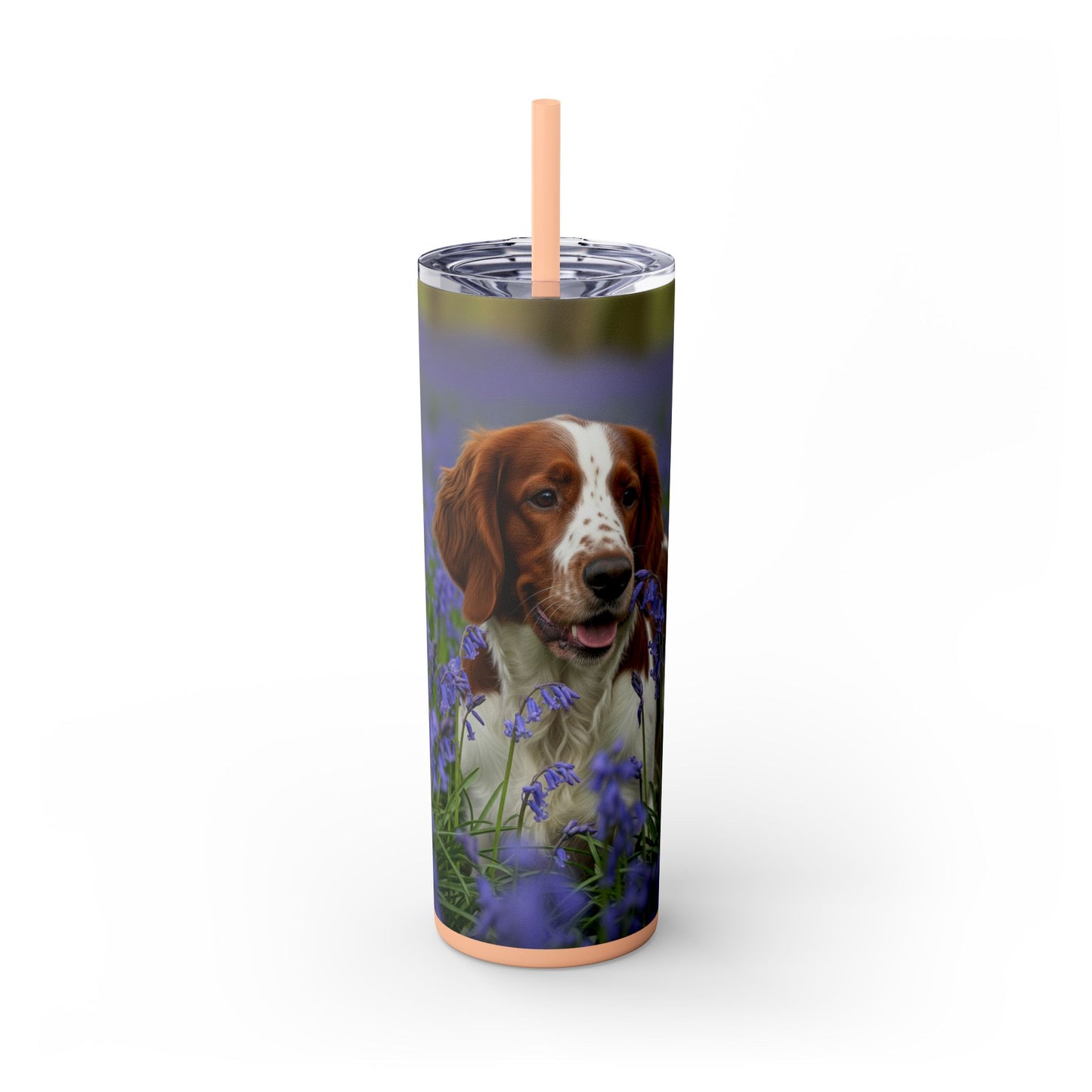 Welsh Springer Spaniel Skinny Tumbler with Straw, 20oz