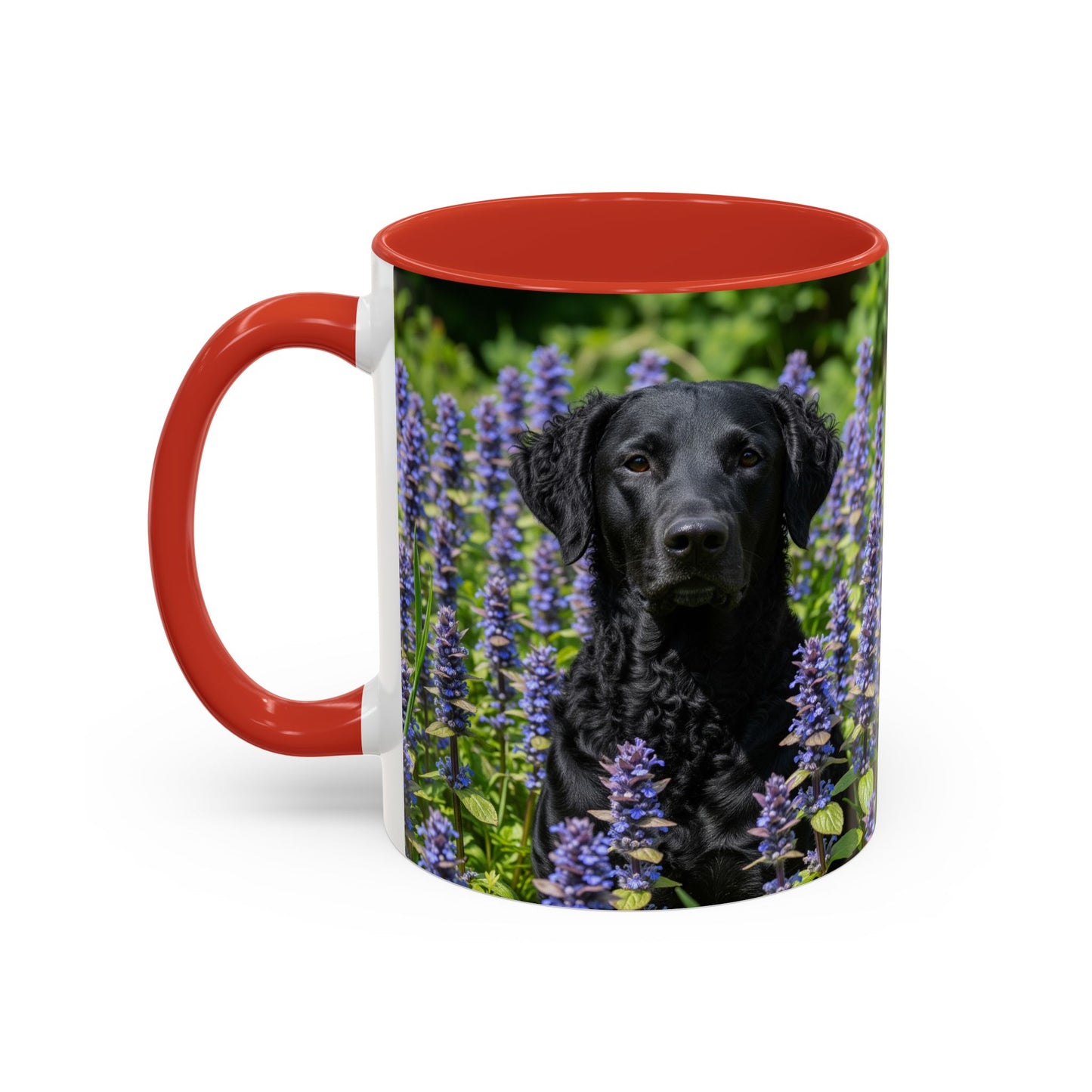 Curly Coated Retriever Accent Coffee Mug - Perfect Gift for Dog Lovers