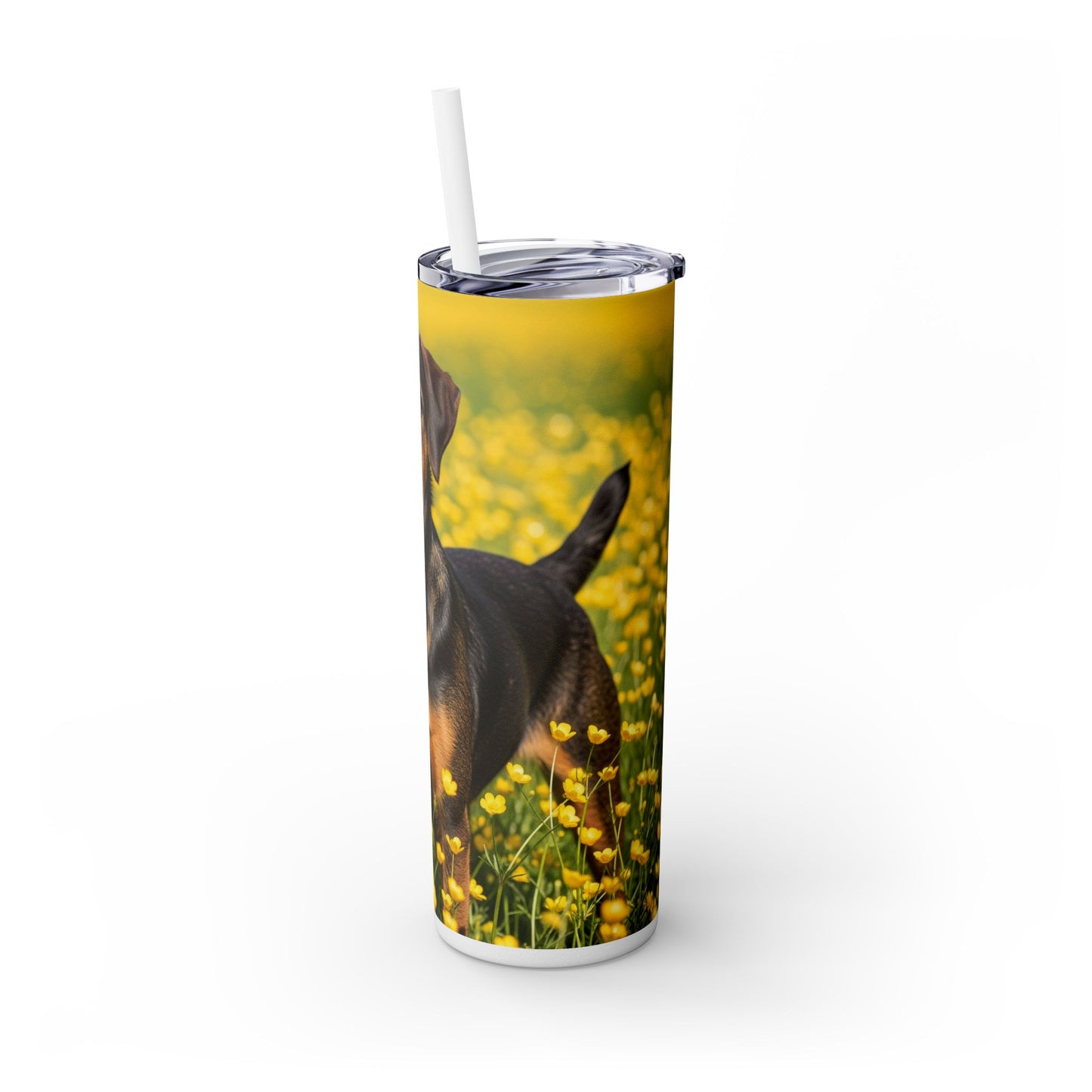 Drever Tumbler with Straw, 20oz