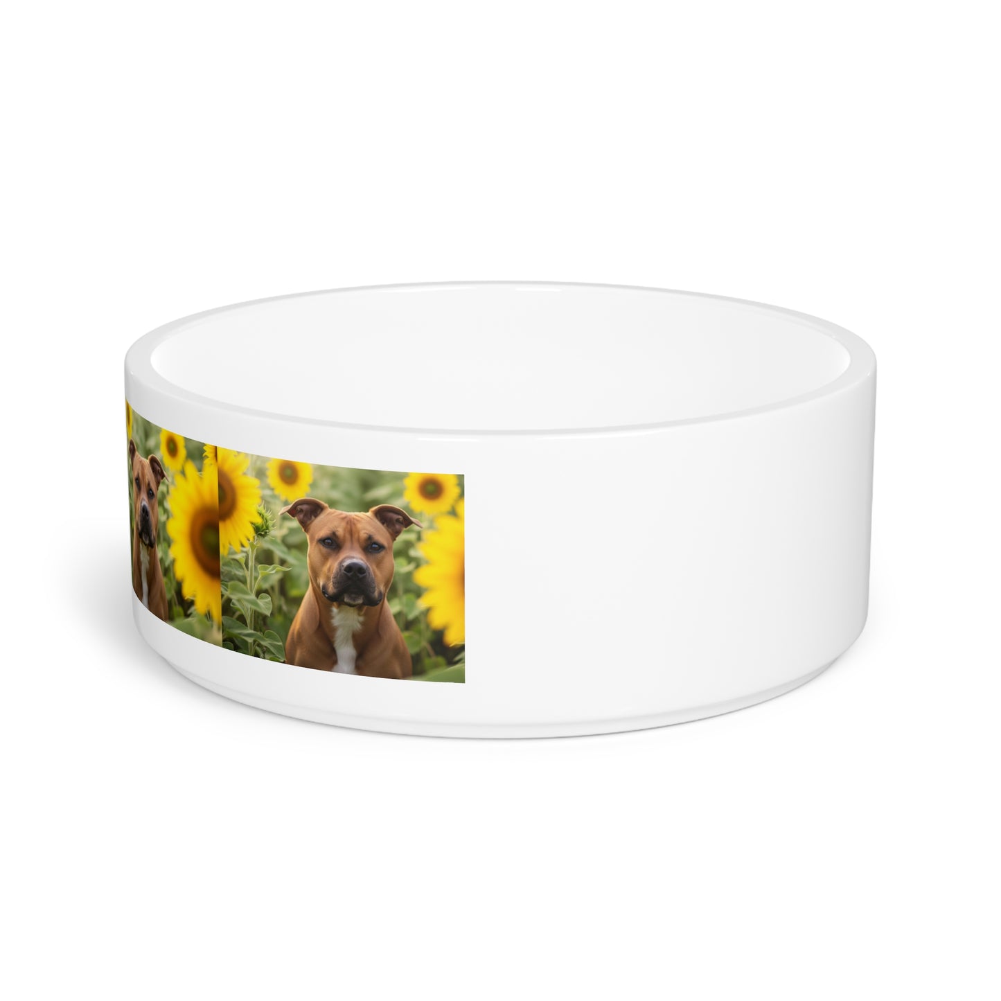 American Staffordshire Terrier Pet Bowl