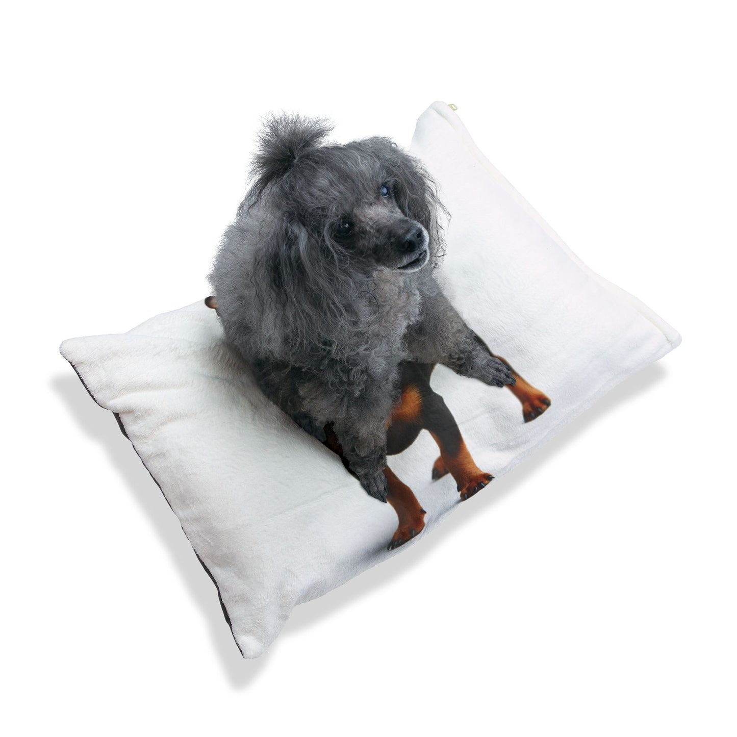 Miniature Pinscher Pet Bed