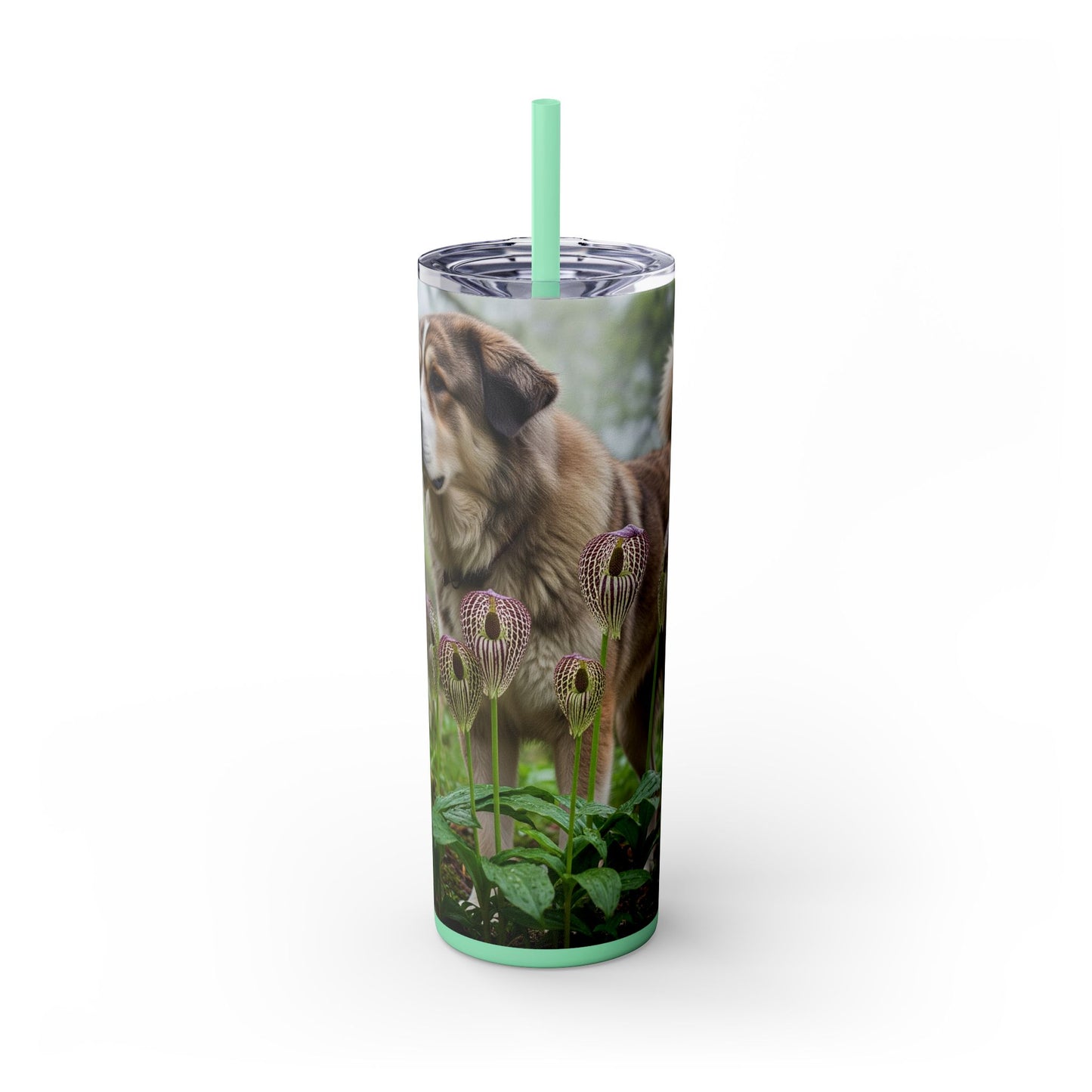 Bakharwal Tumbler with Straw, 20oz