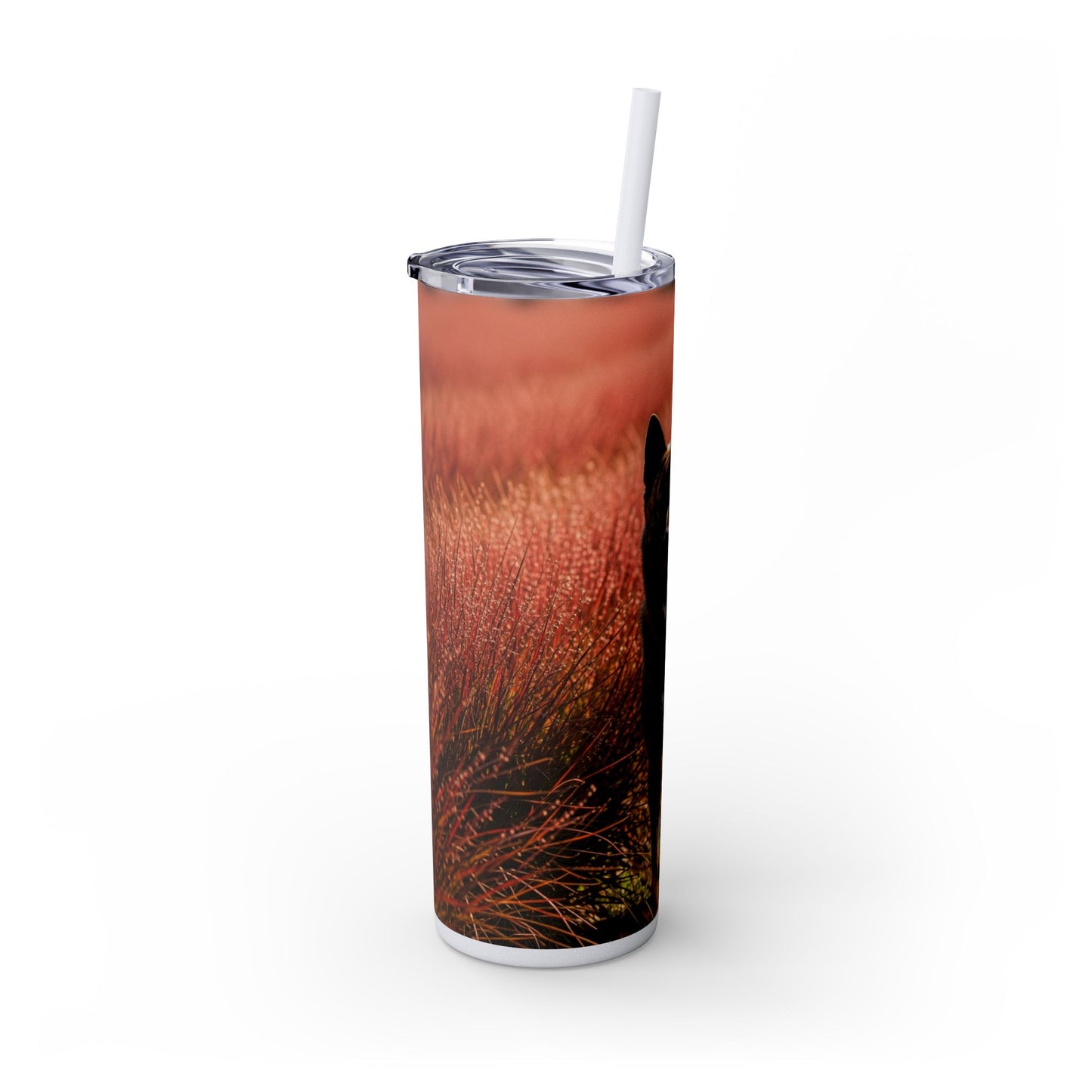 Kai Ken Tumbler with Straw, 20oz