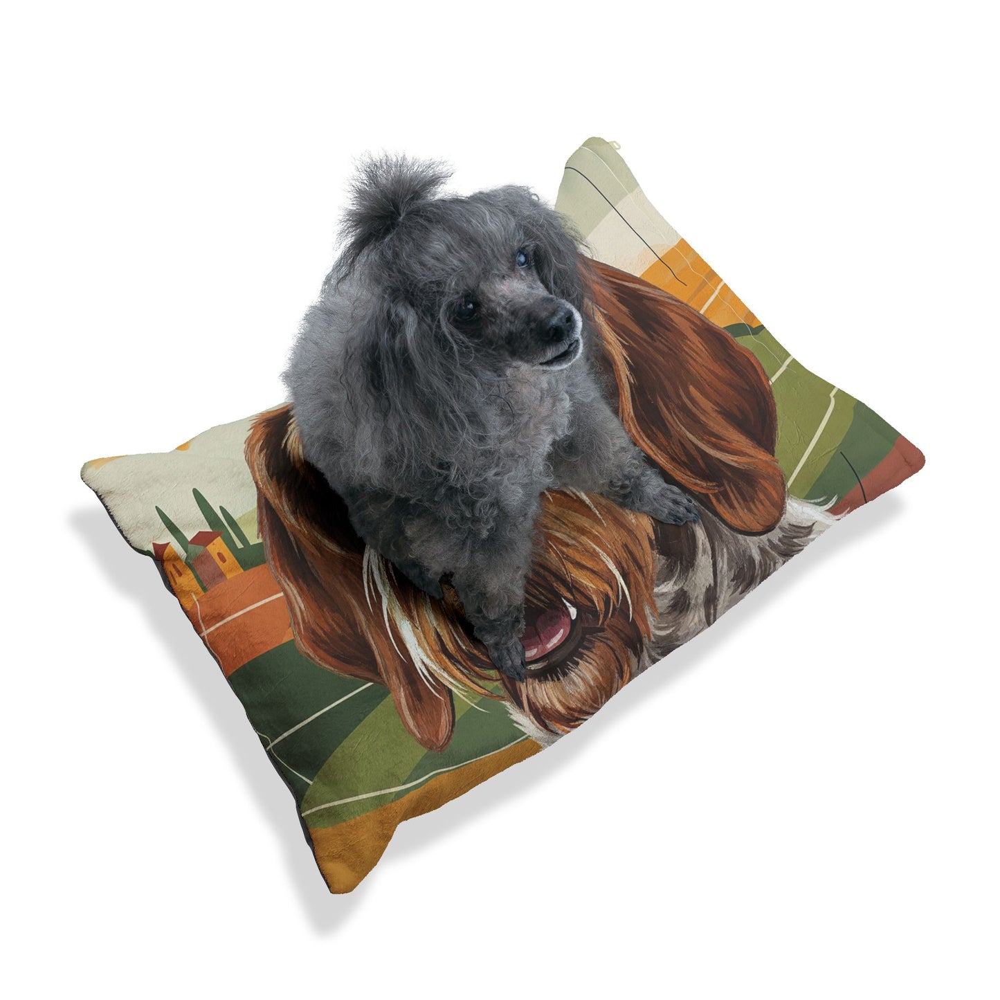 Spinone Italiano Pet Bed