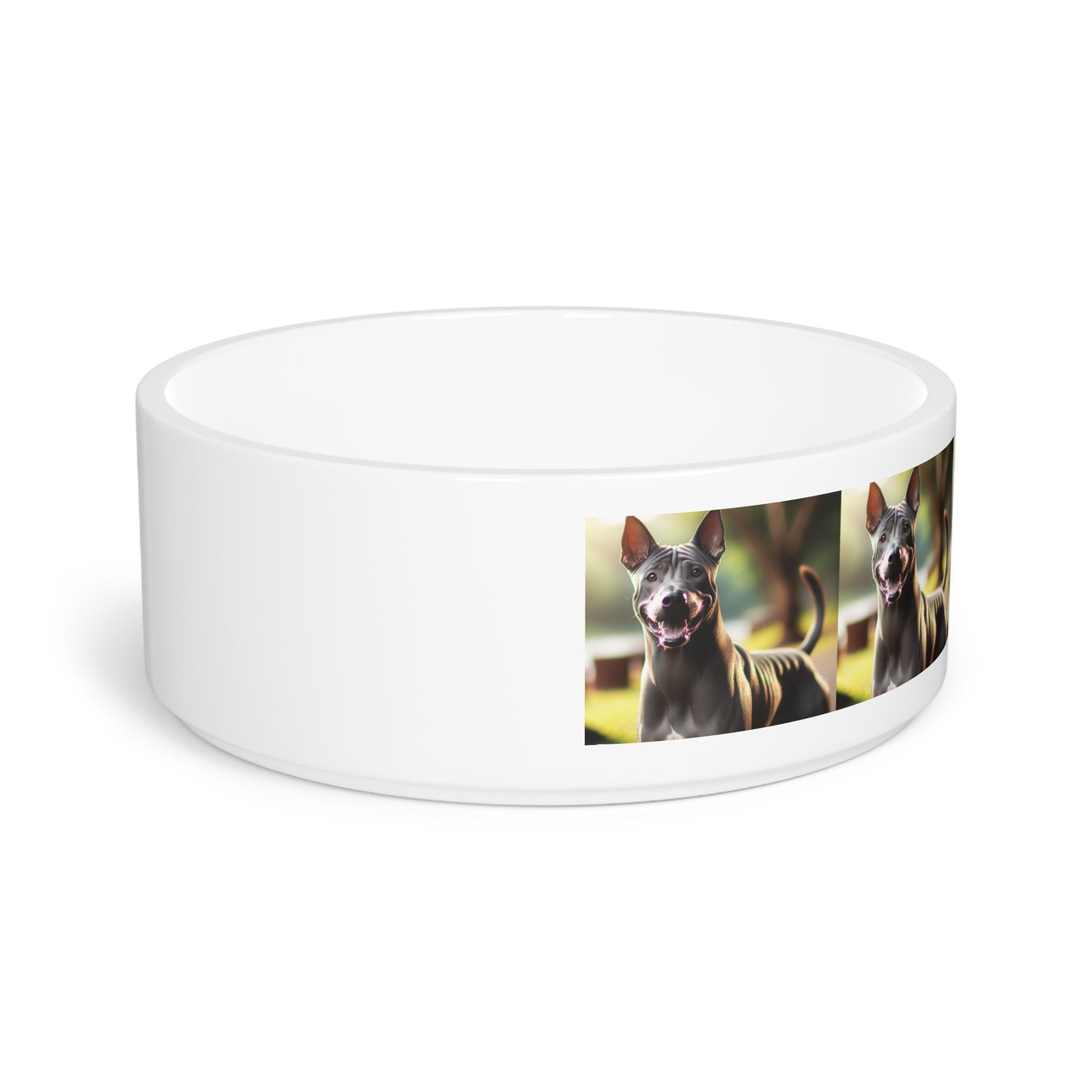 Thai Ridgeback Pet Bowl
