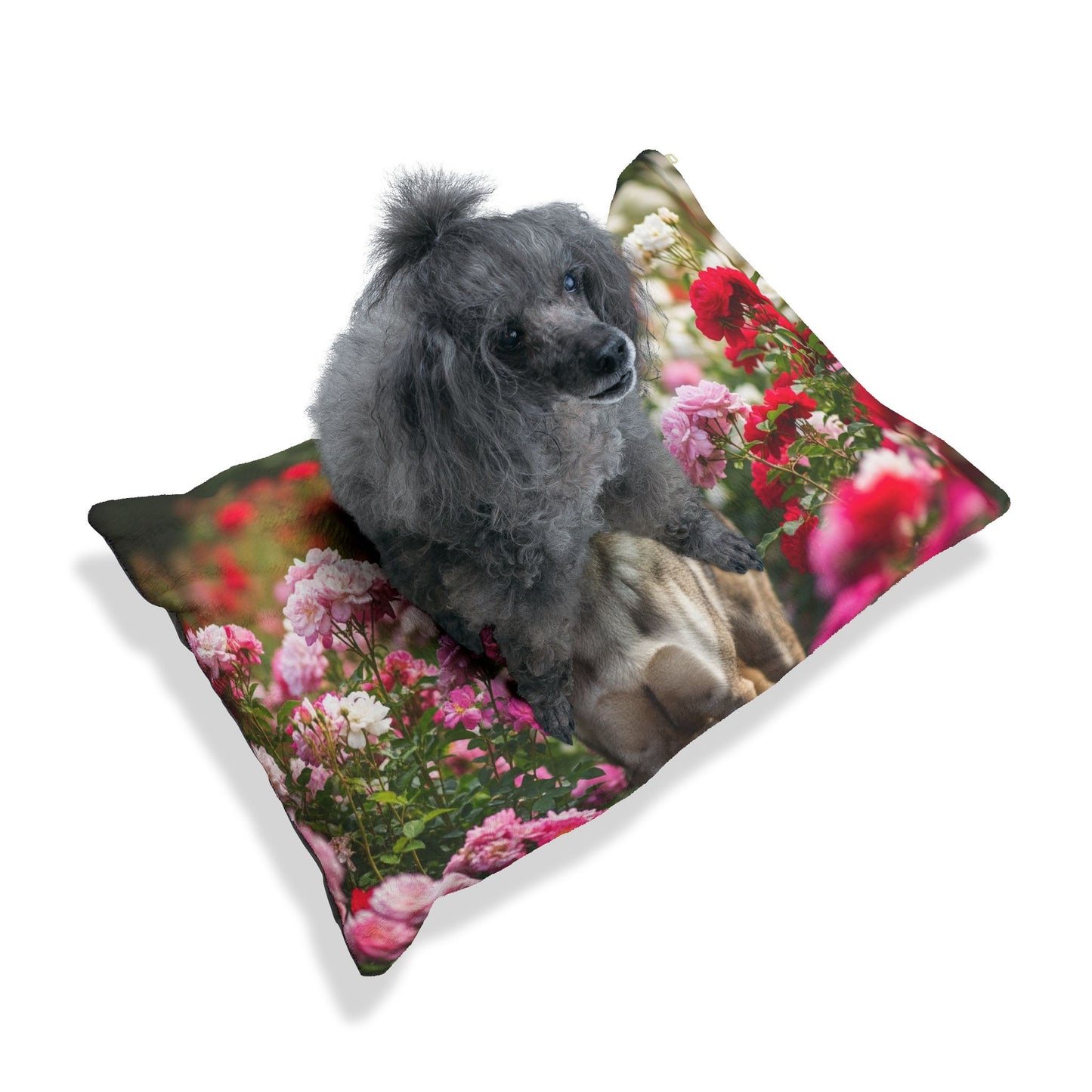 Czechoslovakian Vlcak Pet Bed