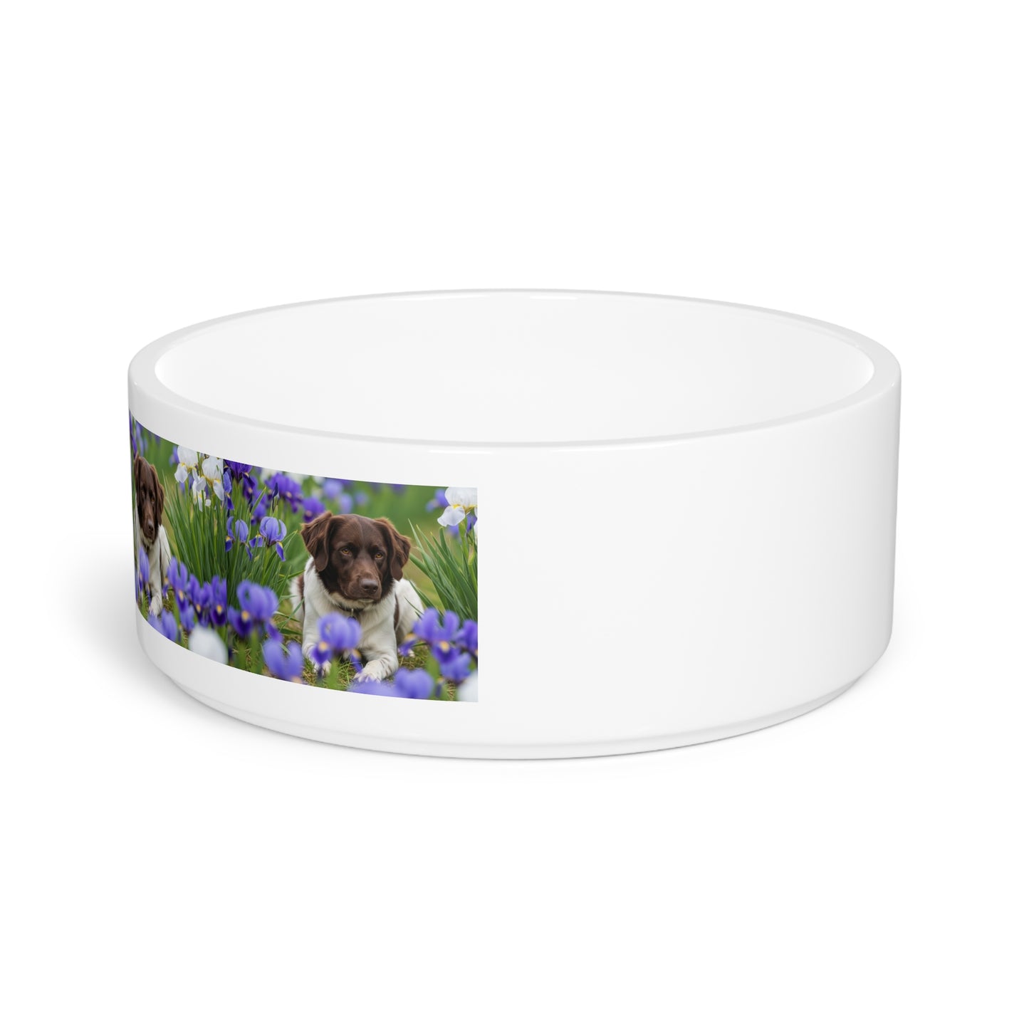Stabyhouns Pet Bowl