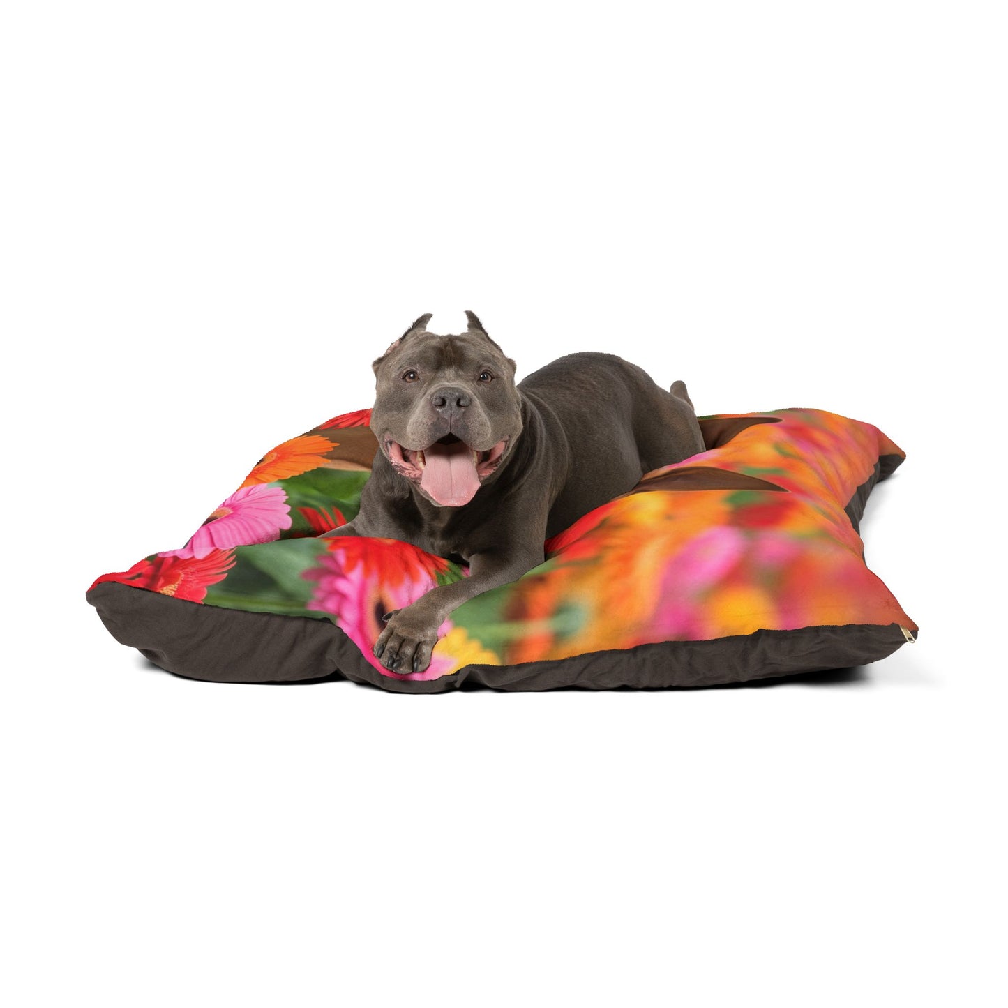 Brazilian Terrier Pet Bed