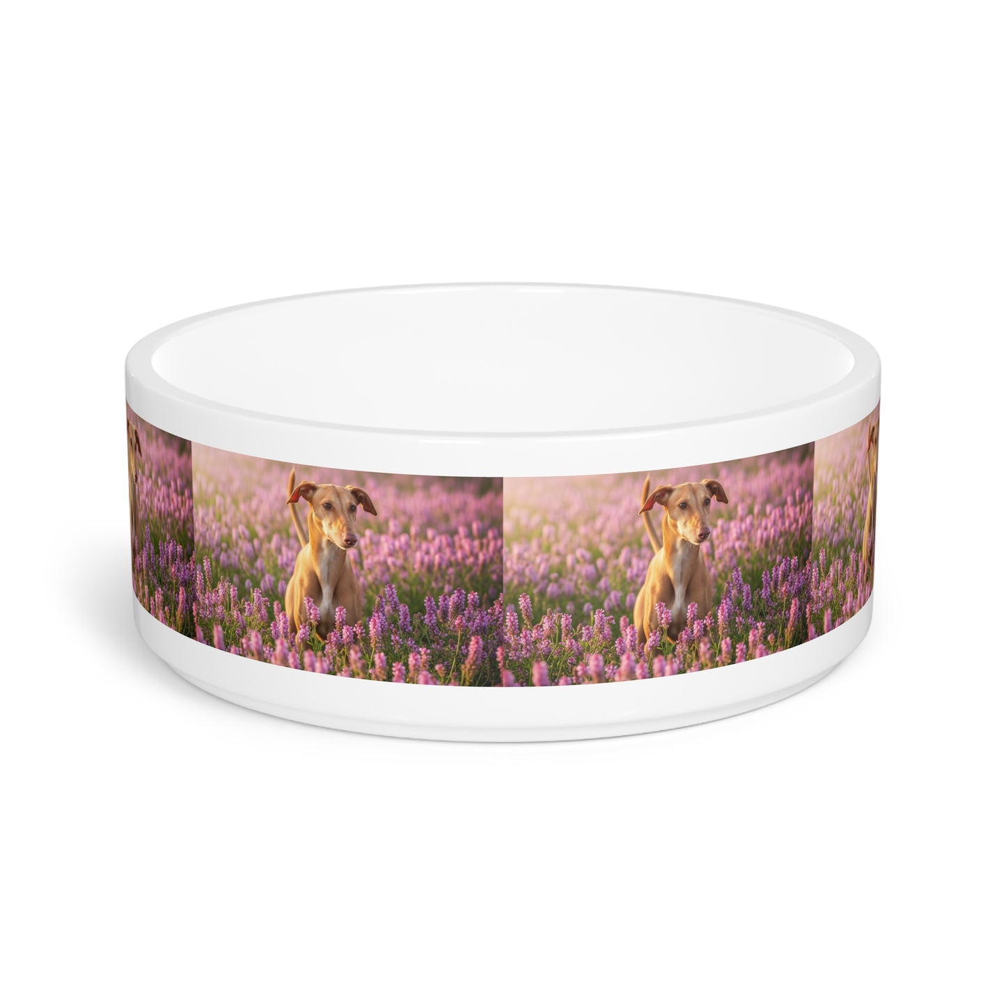 Cirneco dell’Etna Pet Bowl