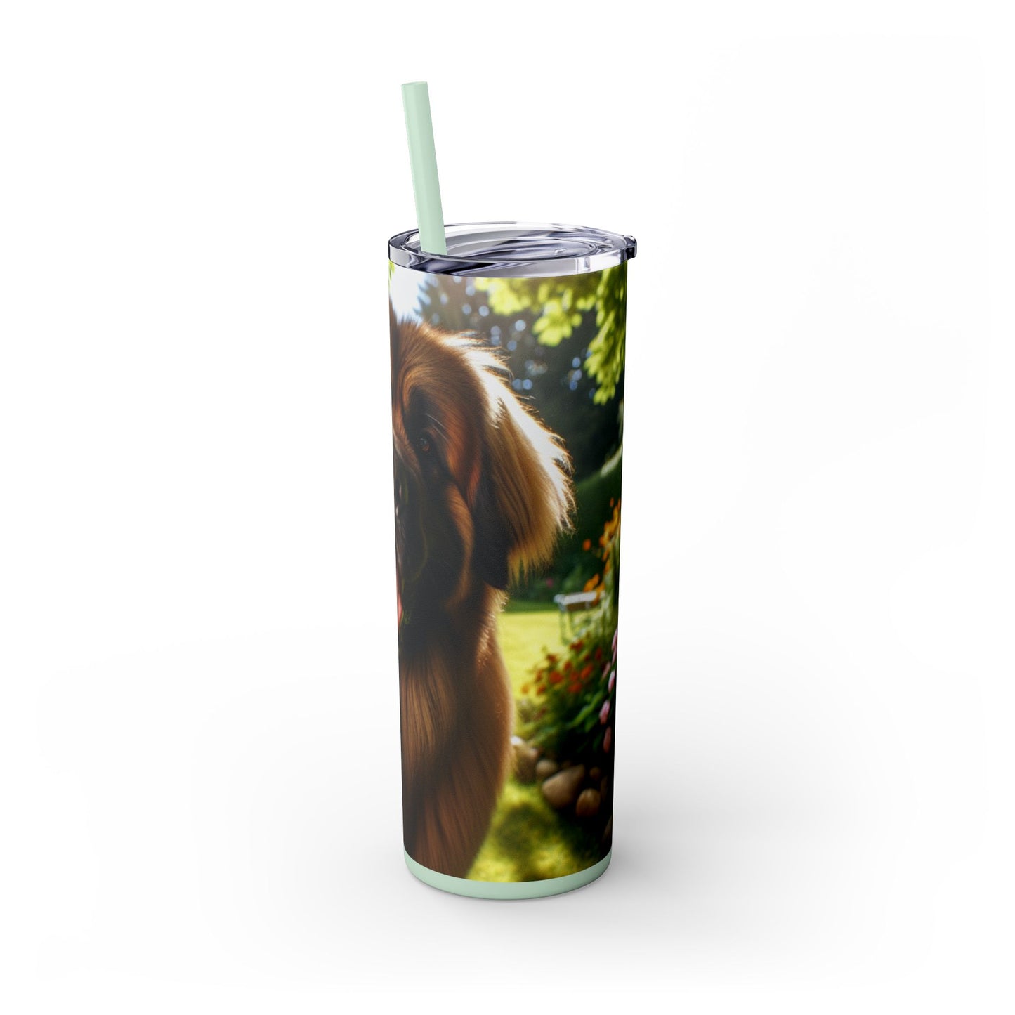 Leonberger Tumbler with Straw, 20oz