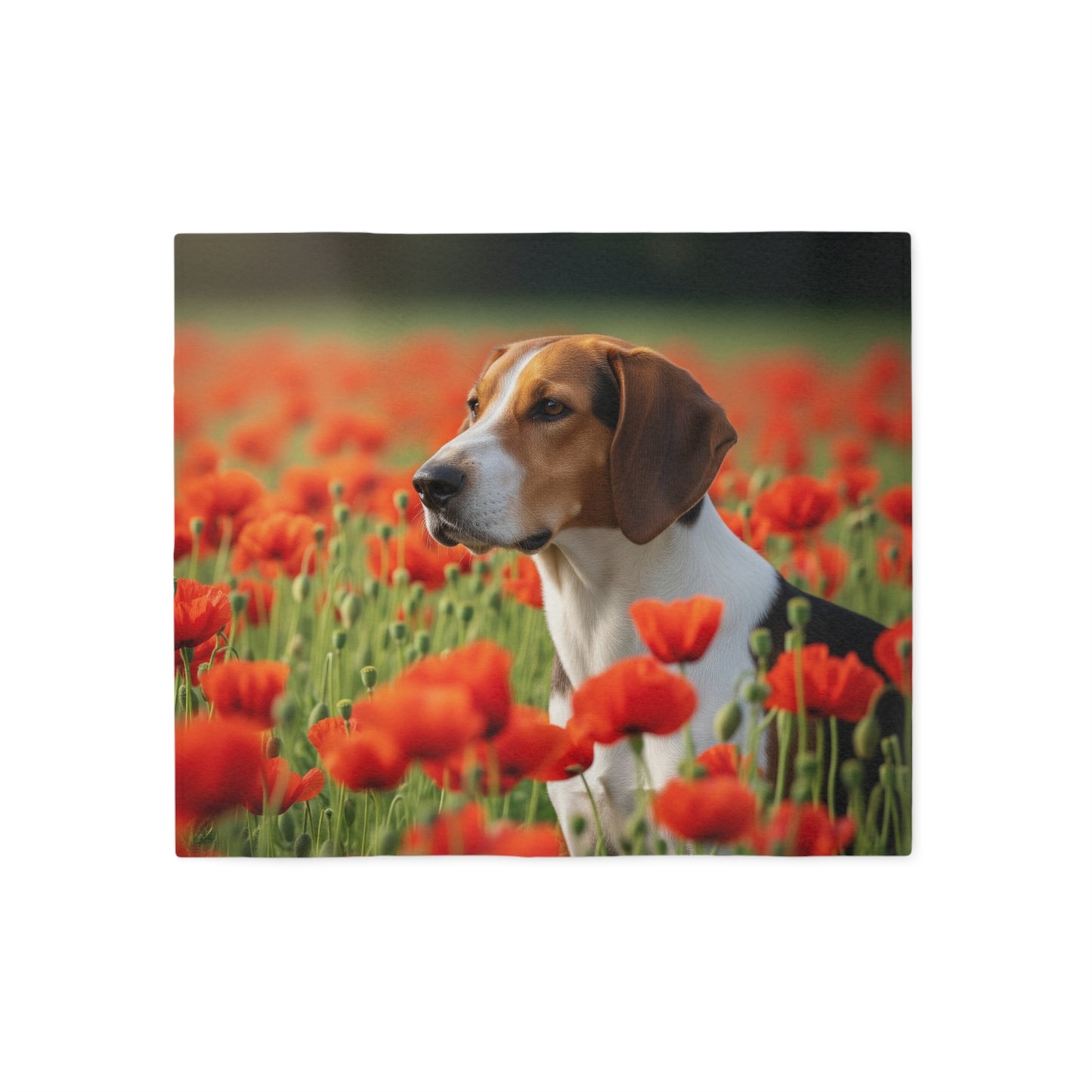 Foxhound Sweatshirt Blanket