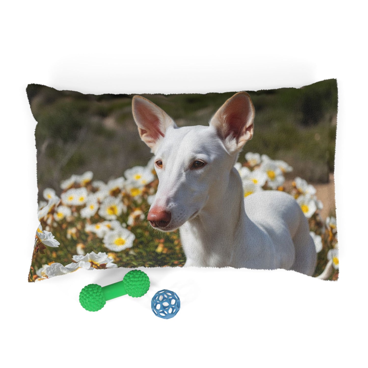 Ibizan Hound Pet Bed