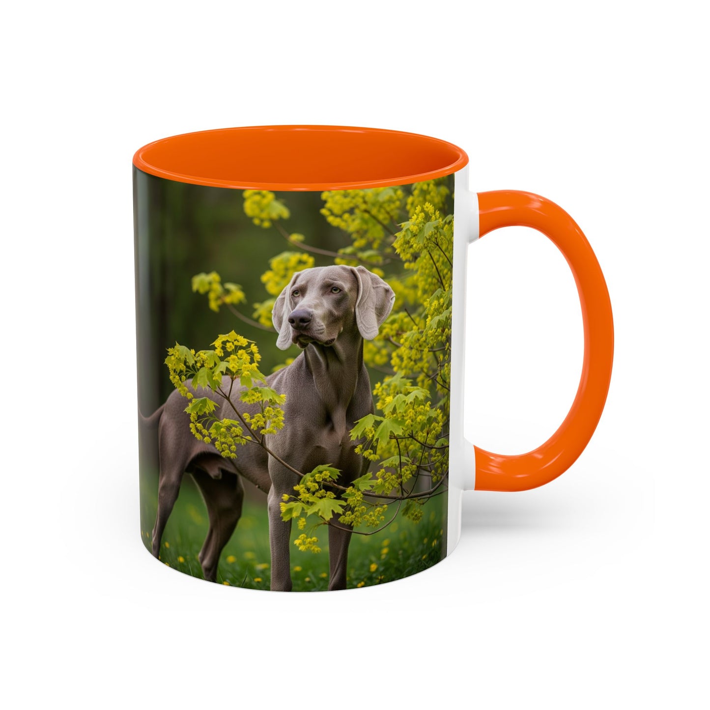 Weimaraner Accent Coffee Mug - Perfect Gift for Dog Lovers