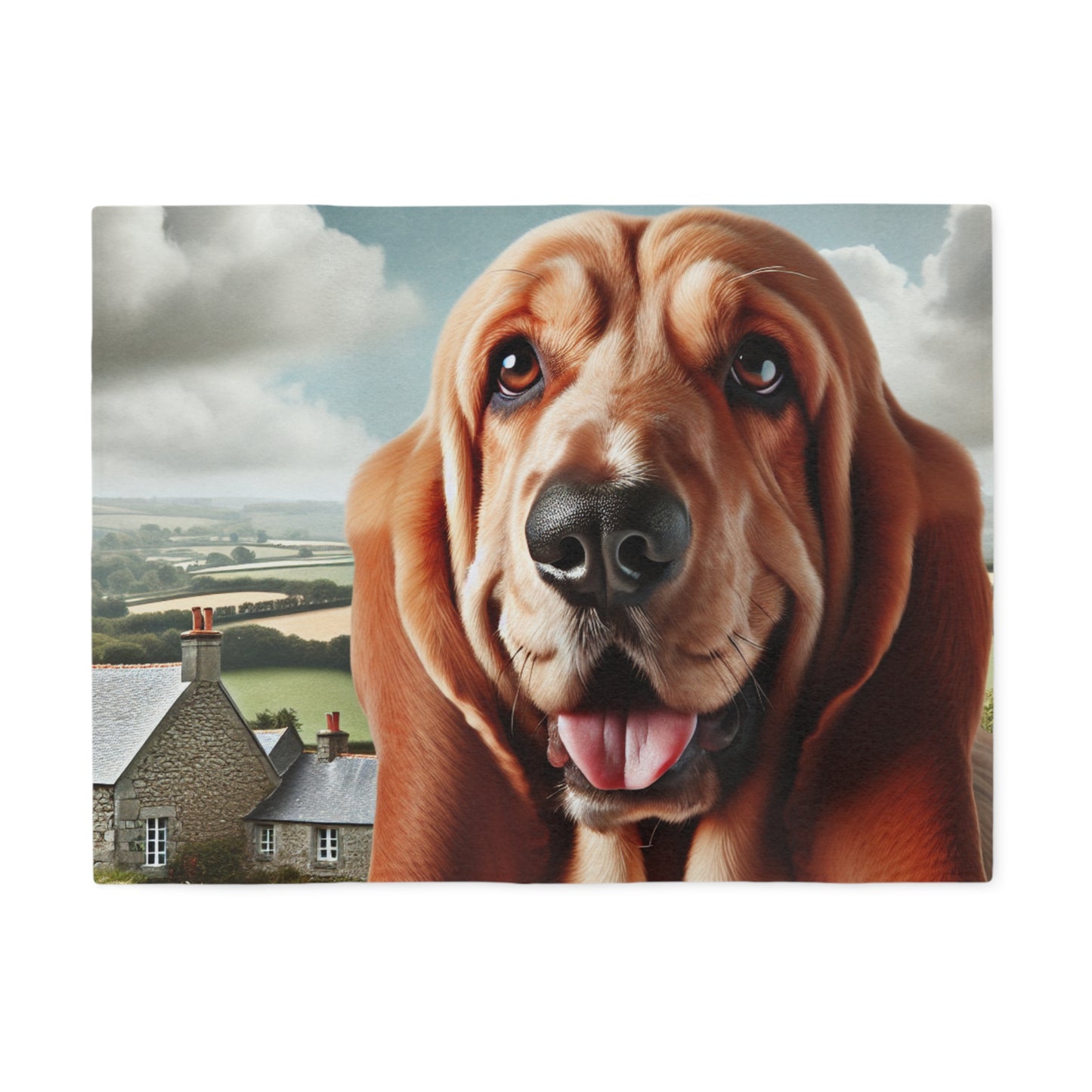 Basset Fauve de Bretagne Sweatshirt Blanket