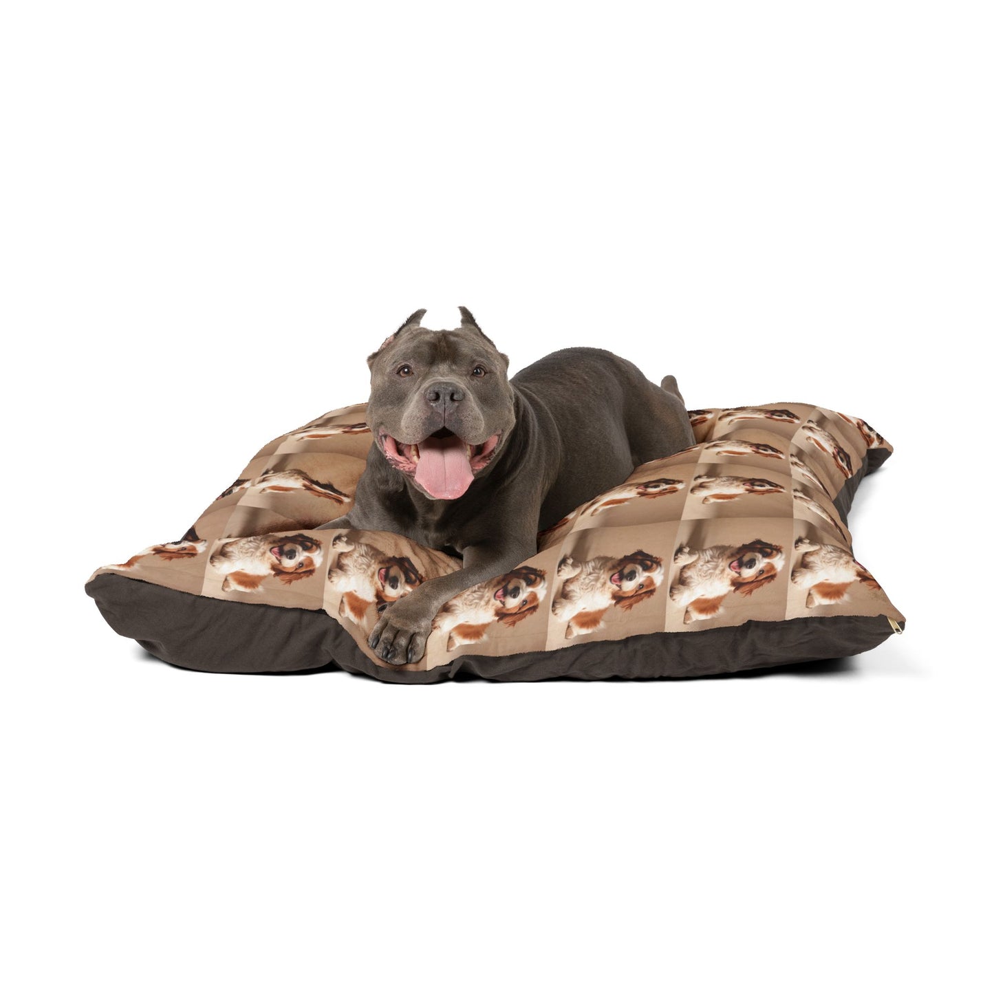 Lagotto Romagnolo Pet Bed