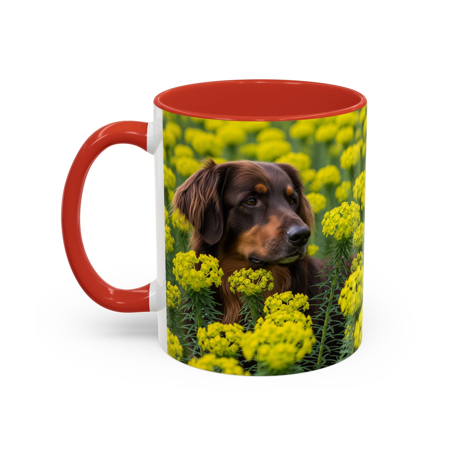 Hovawart Accent Coffee Mug - Perfect Gift for Dog Lovers